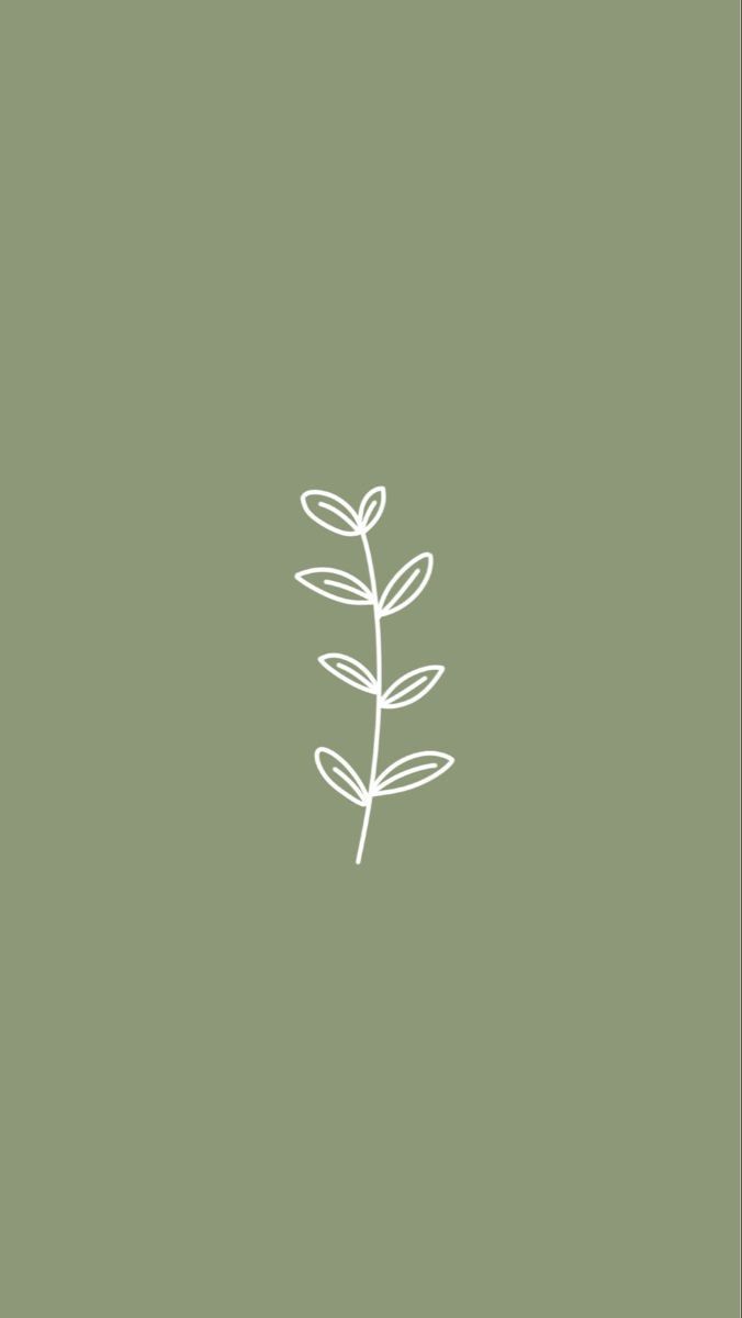 Pin oleh Aimee di iPhone♡. Estetika hijau mint, Hijau mint, Seni minimalis