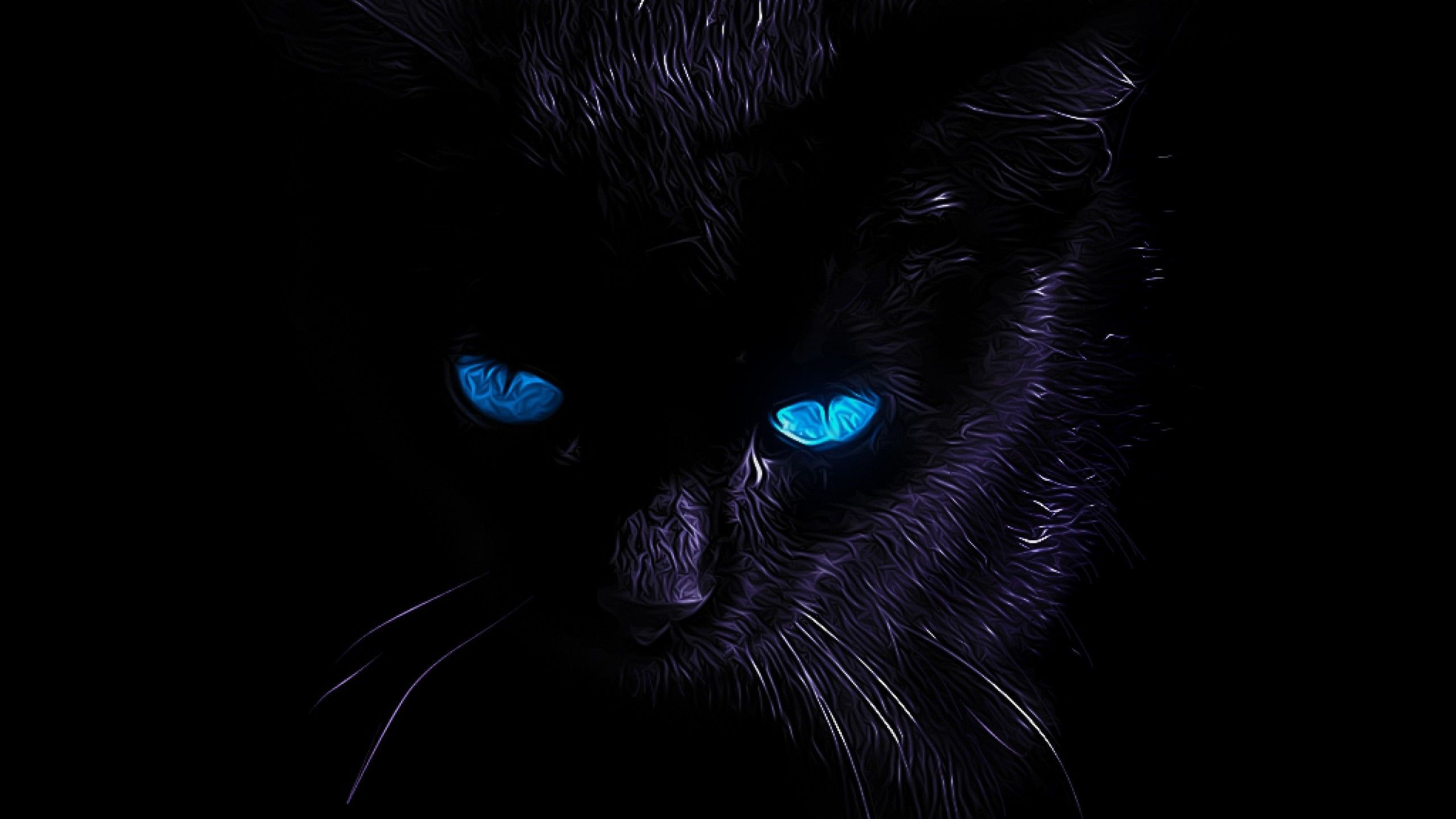 Black Cat Blue Eyes Wallpaper