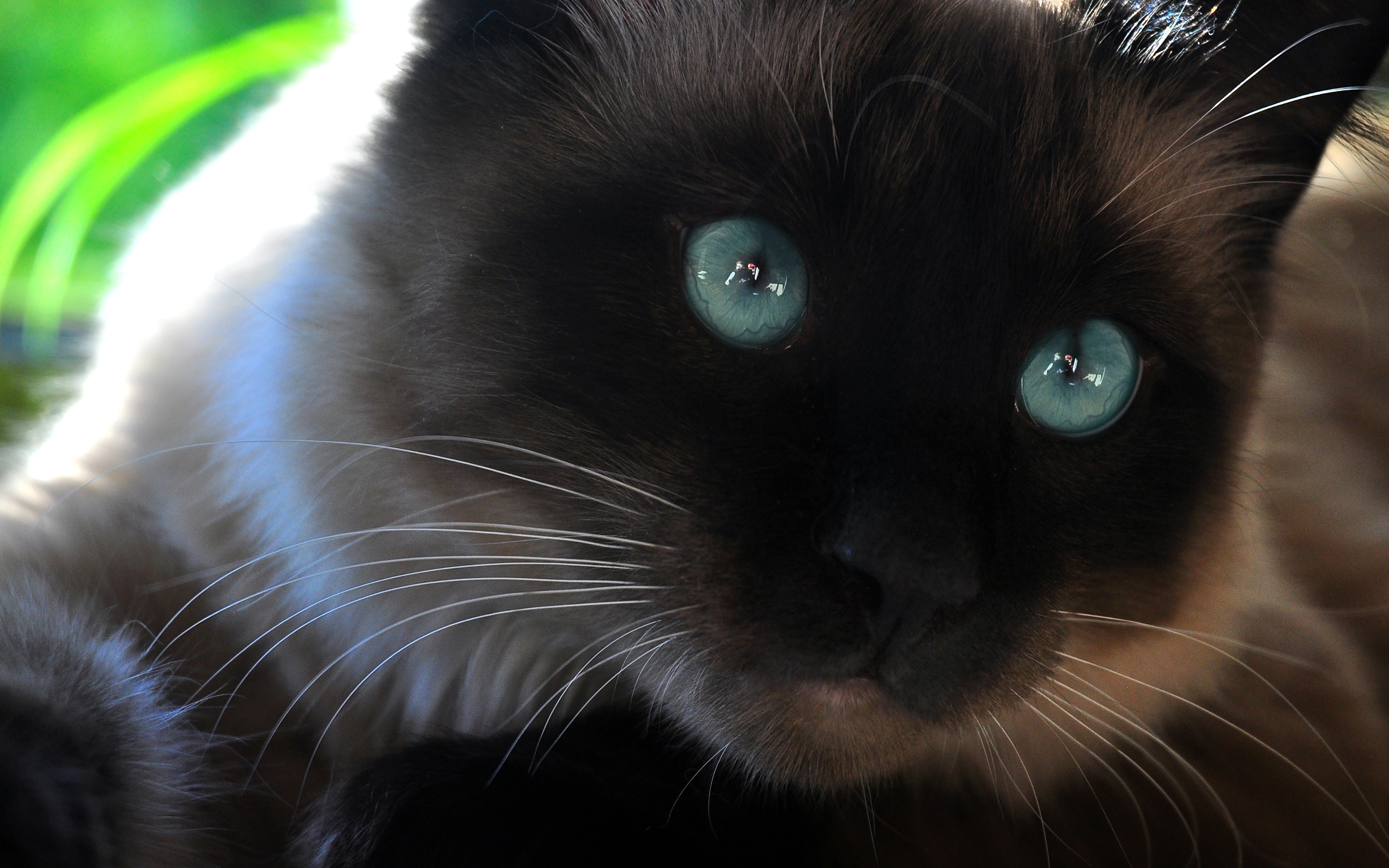 Eyes 4K wallpaper for your desktop or mobile screen free and easy to download