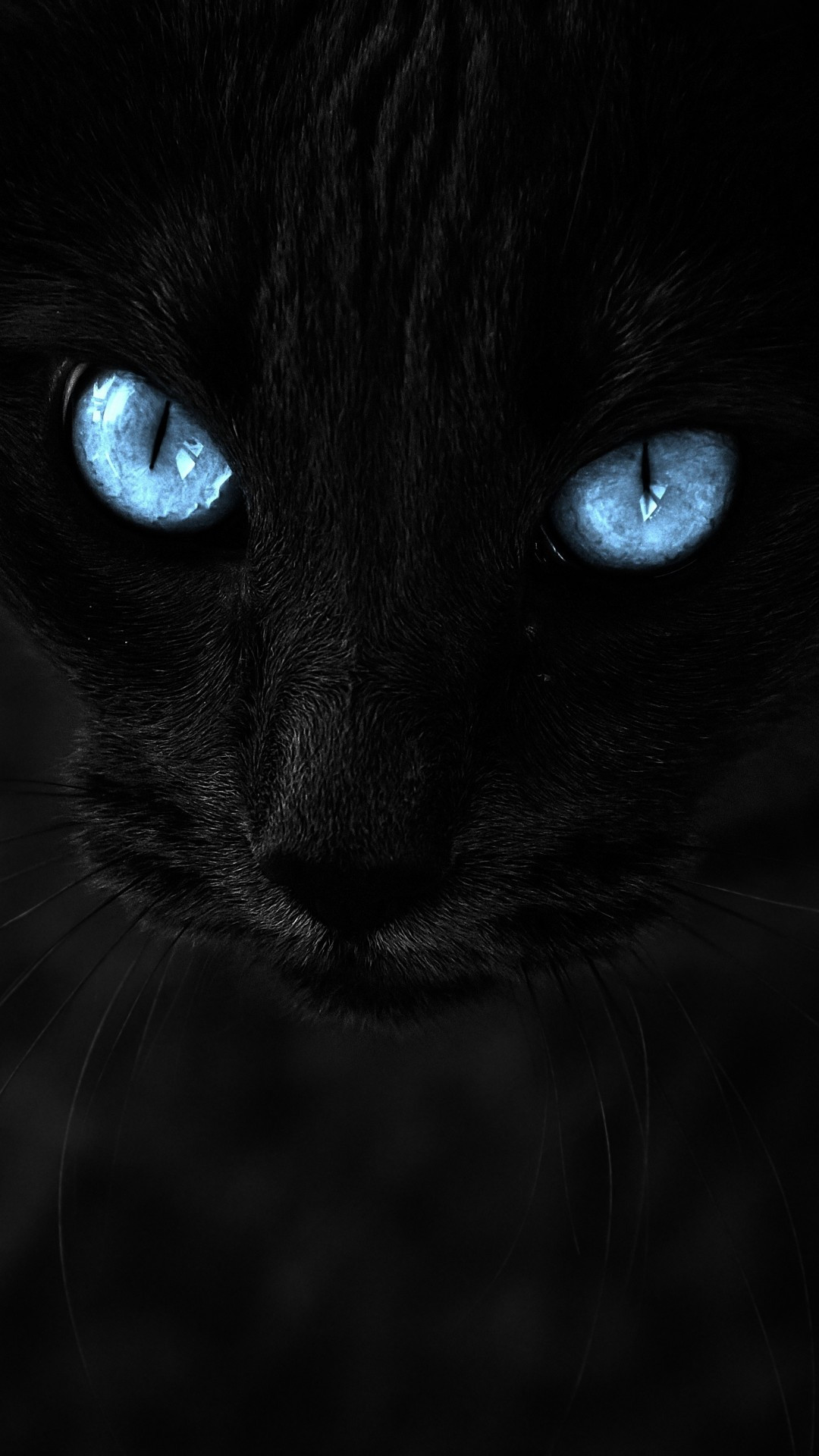 Download 1080x1920 Black Cat, Blue Eyes, Close Up, Muzzle, Cats Wallpaper For IPhone 8, IPhone 7 Plus, IPhone 6+, Sony Xperia Z, HTC One