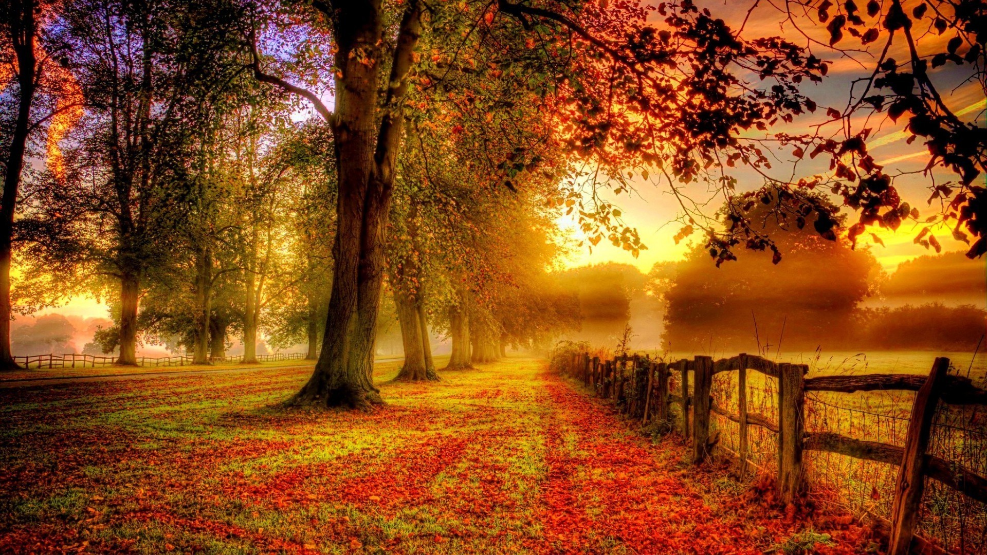 Sunset, fence, trees, foliage, autumn