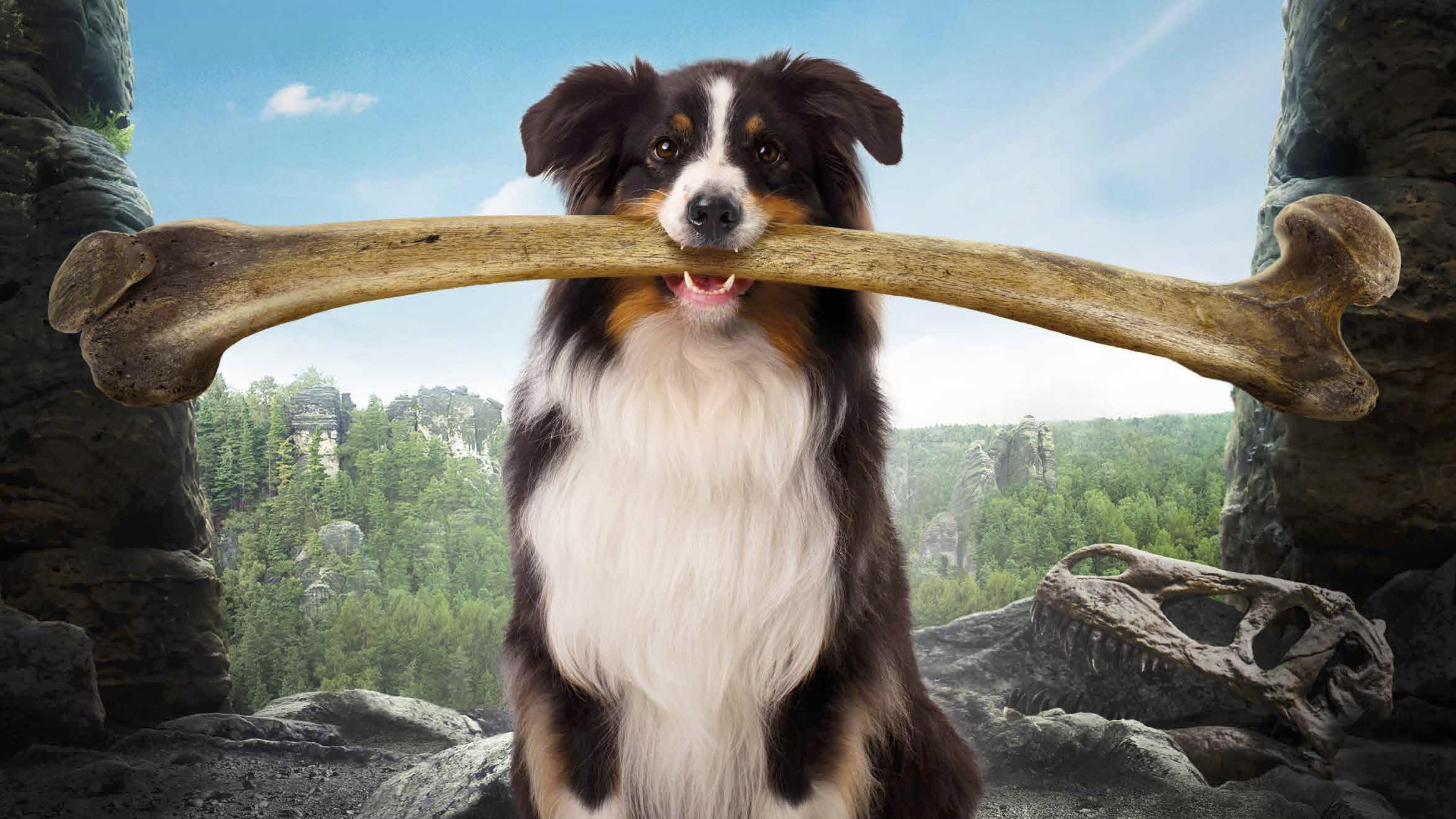 the famous five and the valley of dinosaurs HD wallpaper, Background