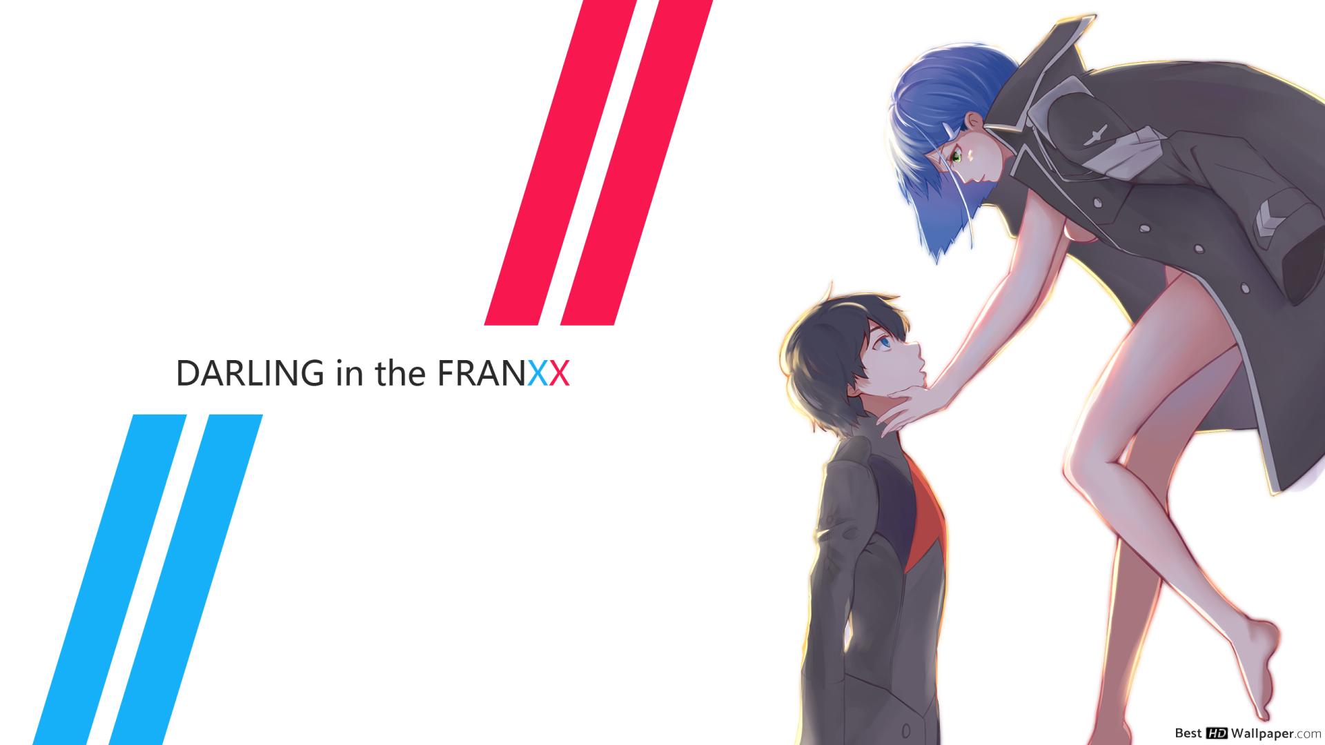 DARLING in the FRANXX & Ichigo HD wallpaper download