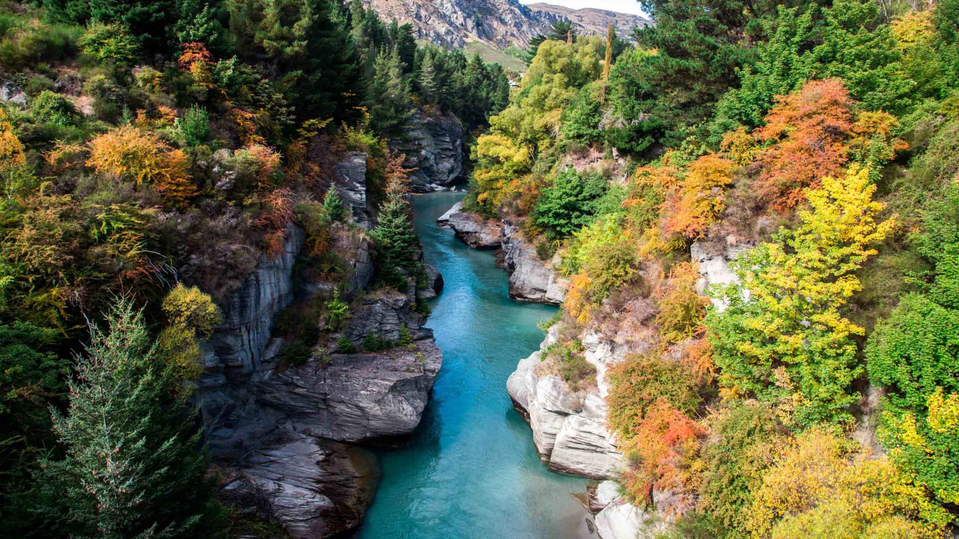Shotover River In Autumn, Queenstown, New Zealand Wallpaper Widescreen HD, Wallpaper13.com