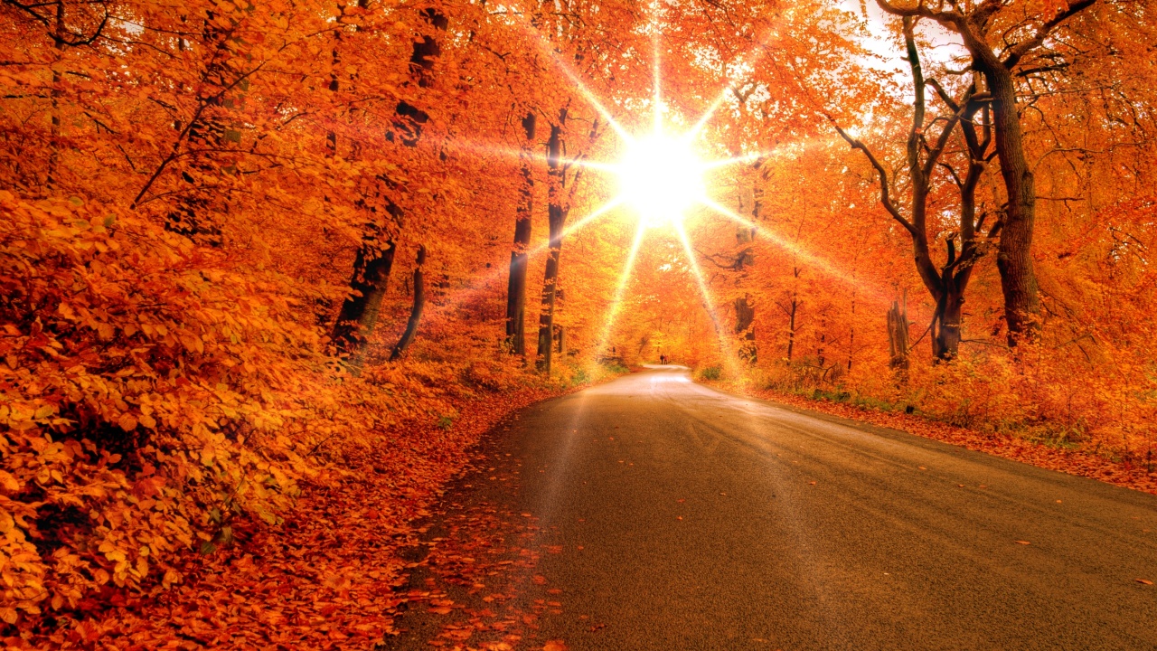 Autumn road desktop PC and Mac wallpaper