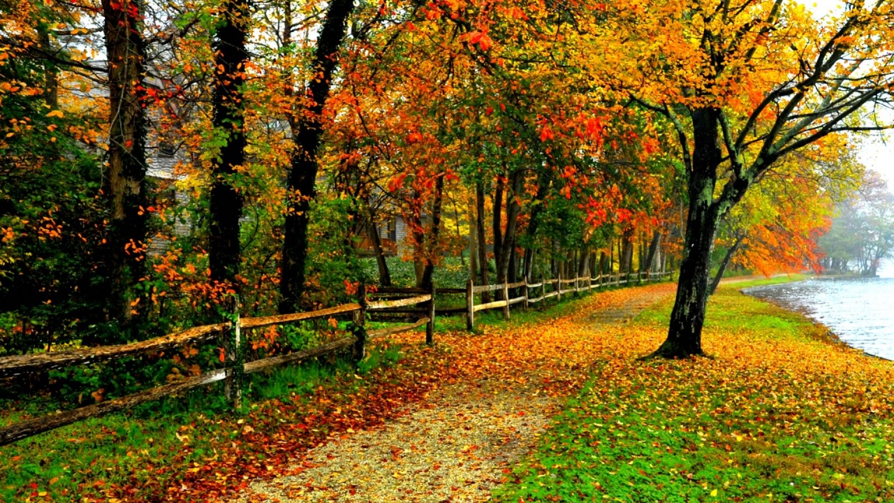 House Fence Side Walk Autumn desktop PC and Mac wallpaper