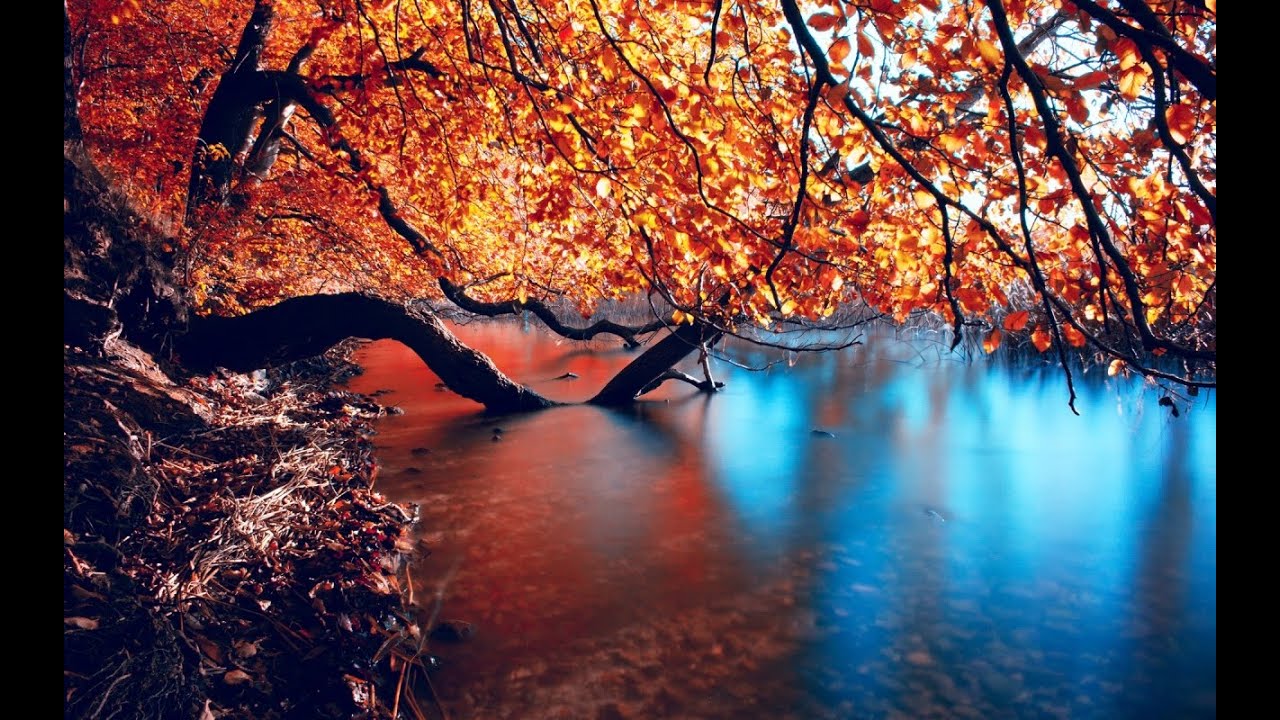 Hd Autumn HD Wallpaper