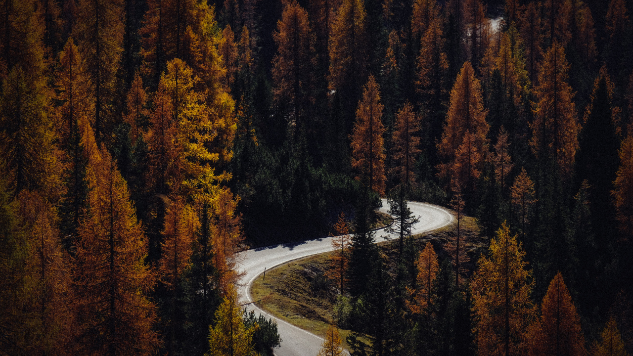 Download Autumn, road, turns, forest, nature wallpaper, 1280x720, HD, HDV, 720p, Widescreen