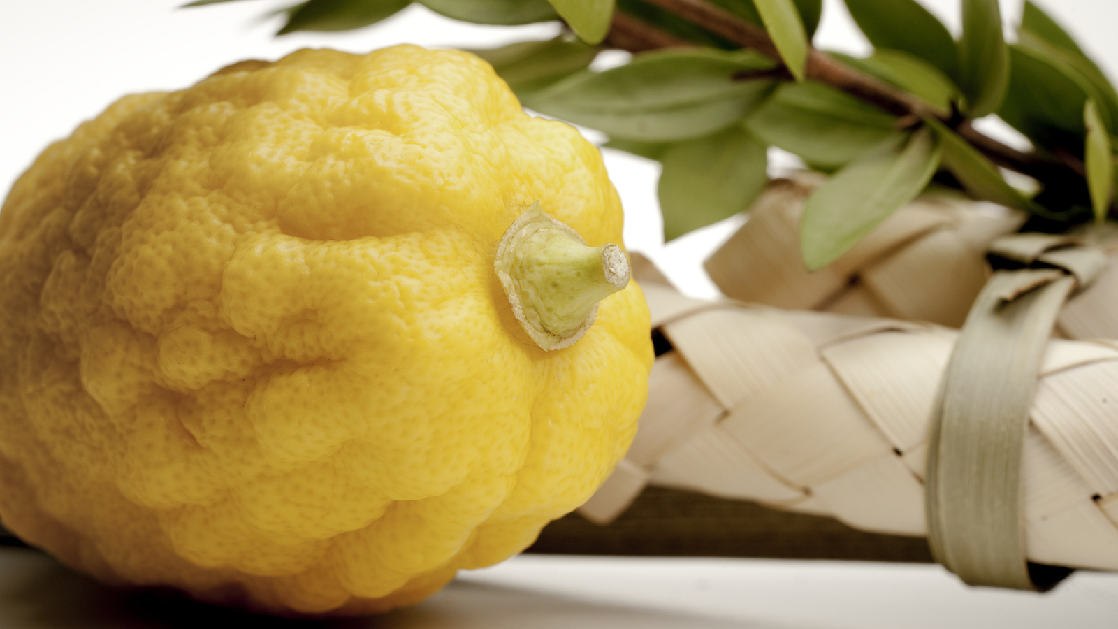 Sukkot Wallpapers - Wallpaper Cave