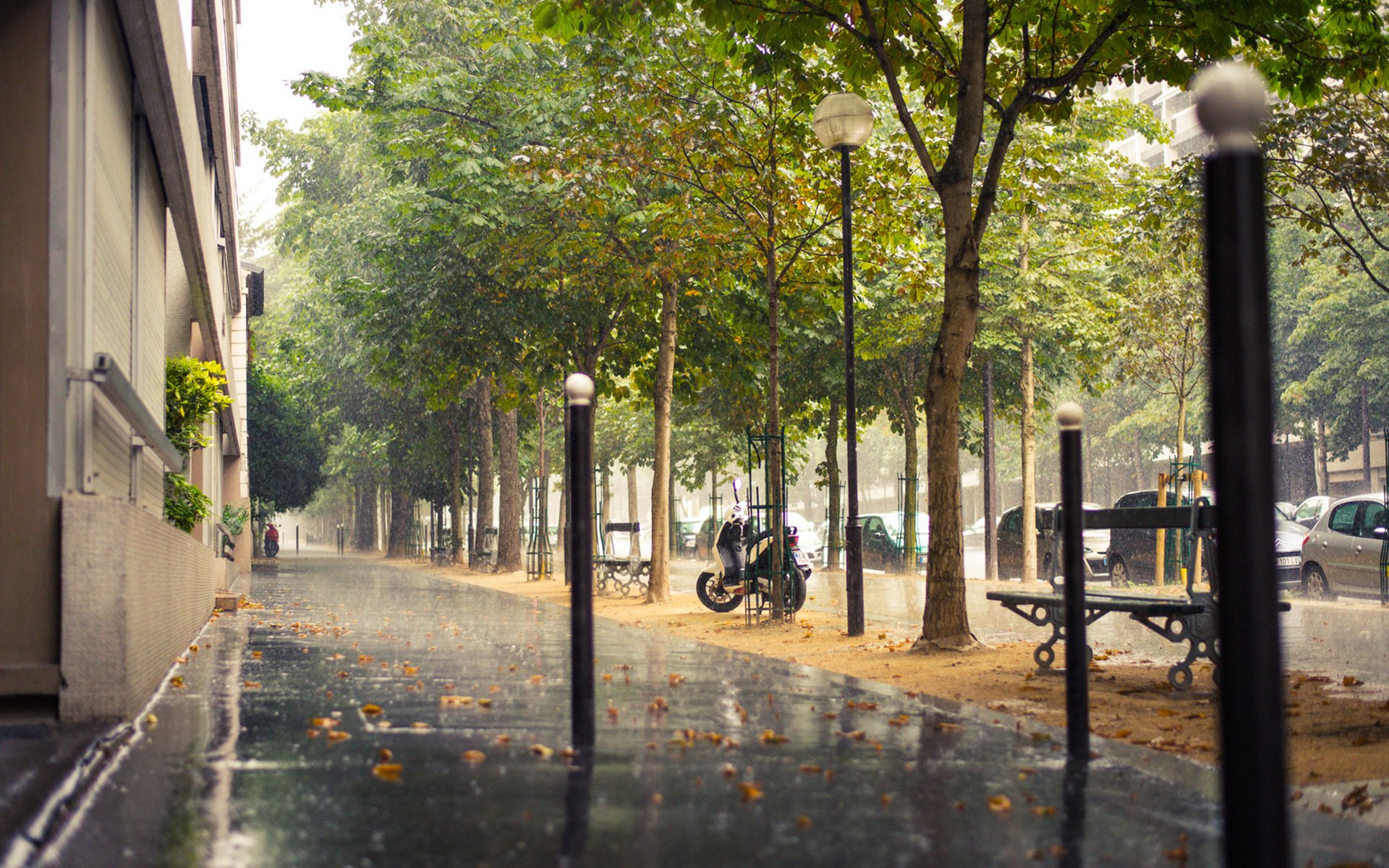 rain, City, Sidewalk, Paris, Paris, France, France, Street Wallpaper HD / Desktop and Mobile Background