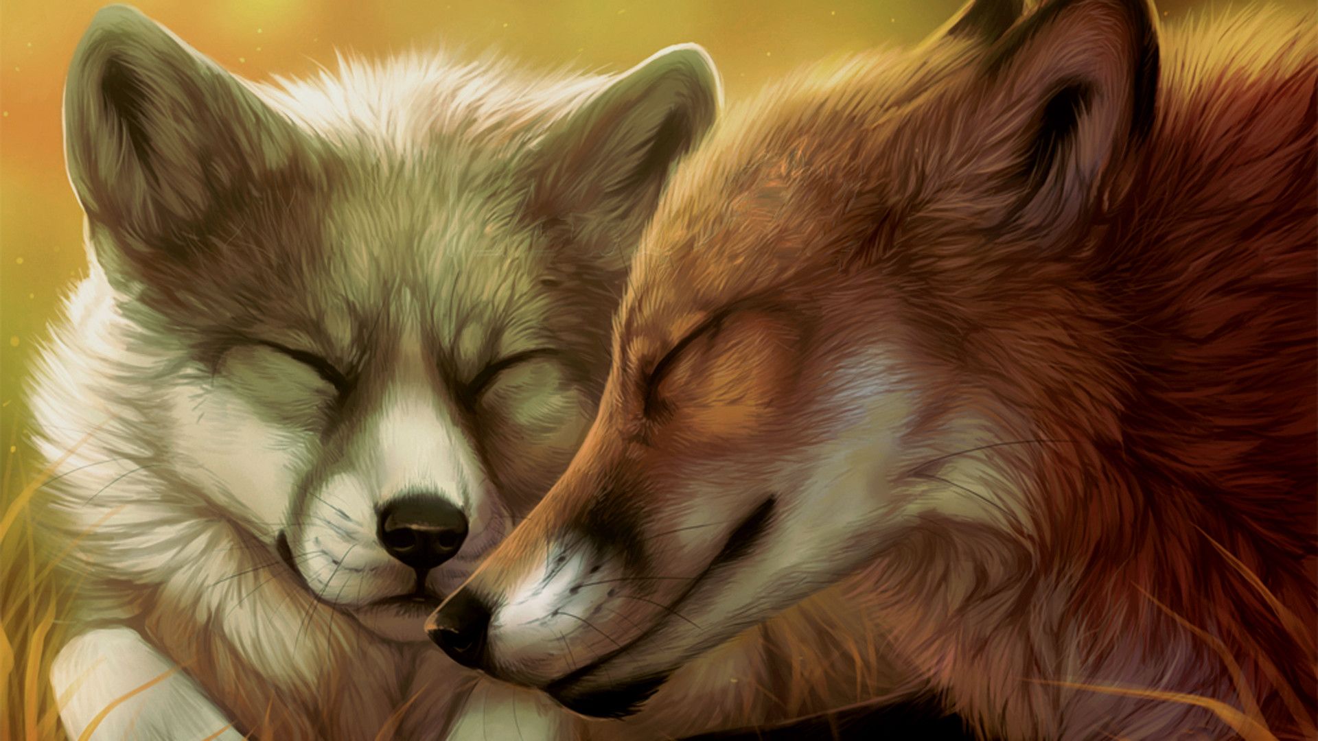 Tons of awesome wolf and fox wallpapers to download for free. 