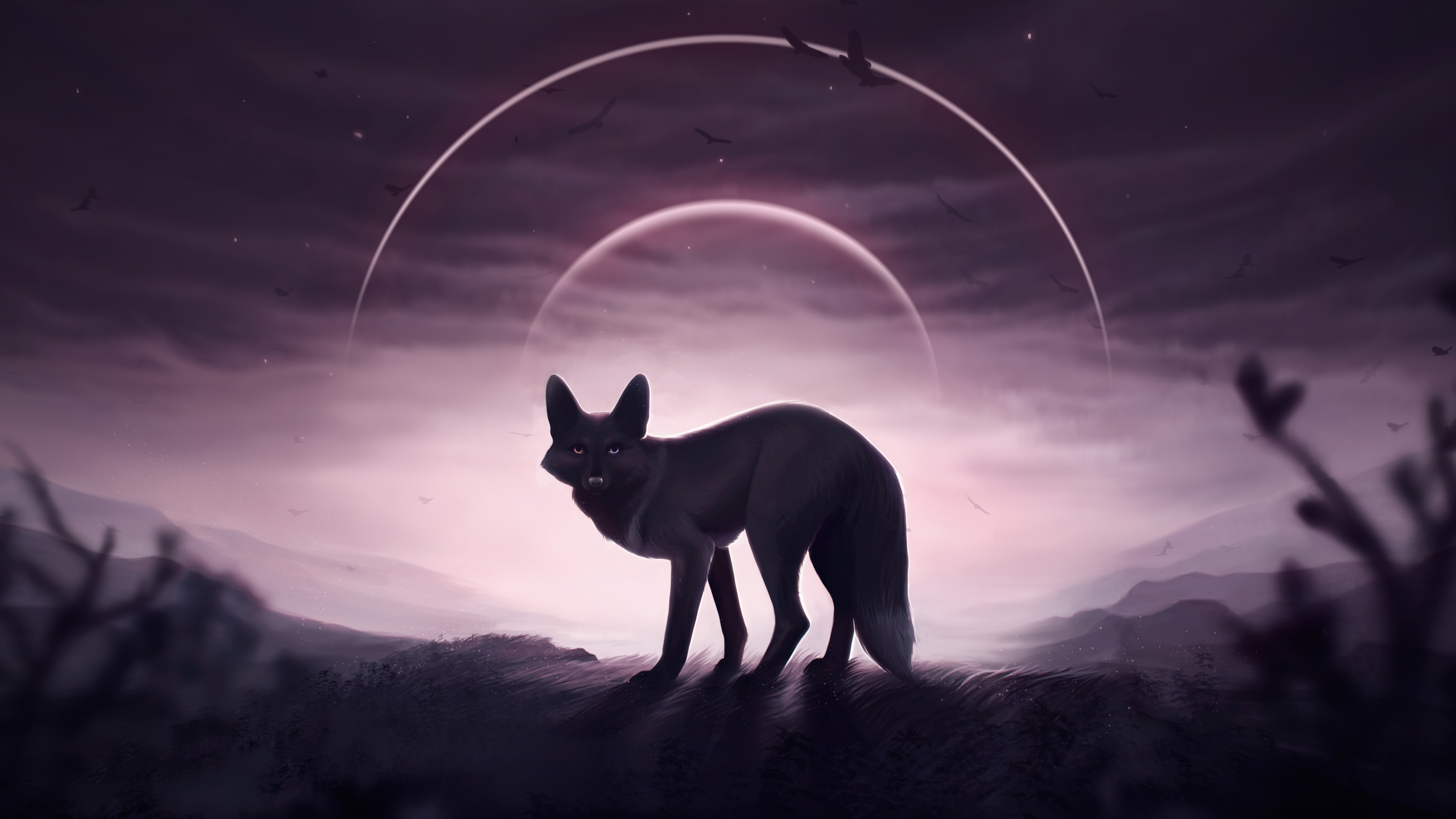 Fox Wolf 5k, HD Artist, 4k Wallpaper, Image, Background, Photo and Picture