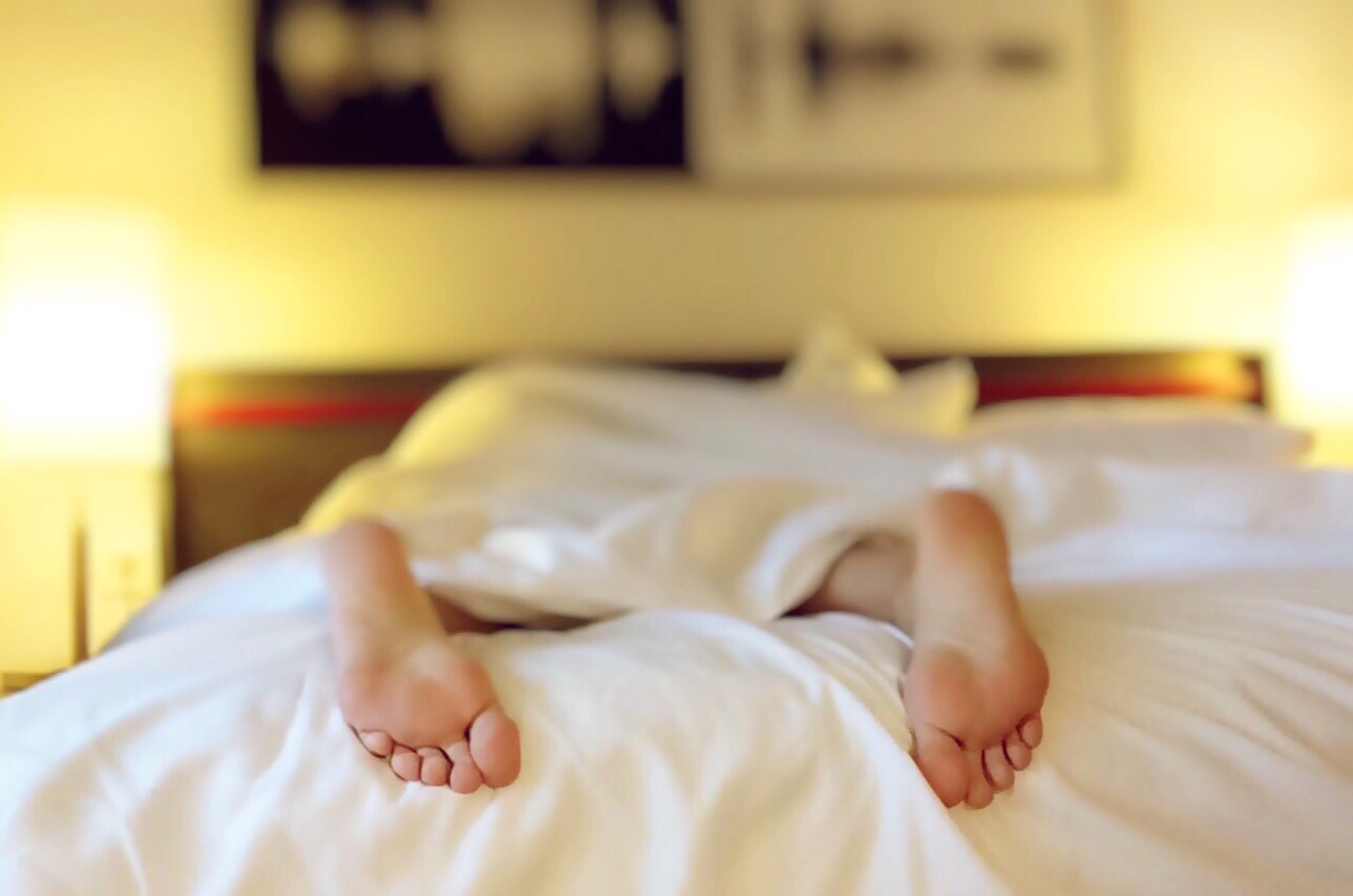 Lazy Photo, Download The BEST Free Lazy & HD Image