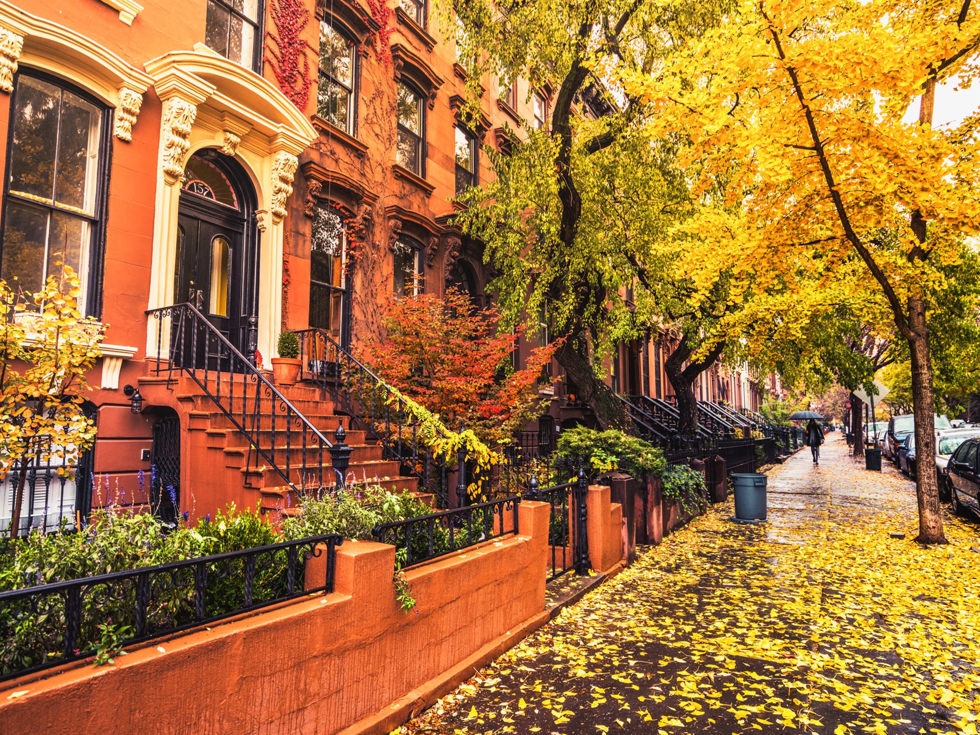 Wallpaper Brooklyn, city, houses, sidewalk, autumn, trees, leaves, rain, USA 1920x1440 HD Picture, Image