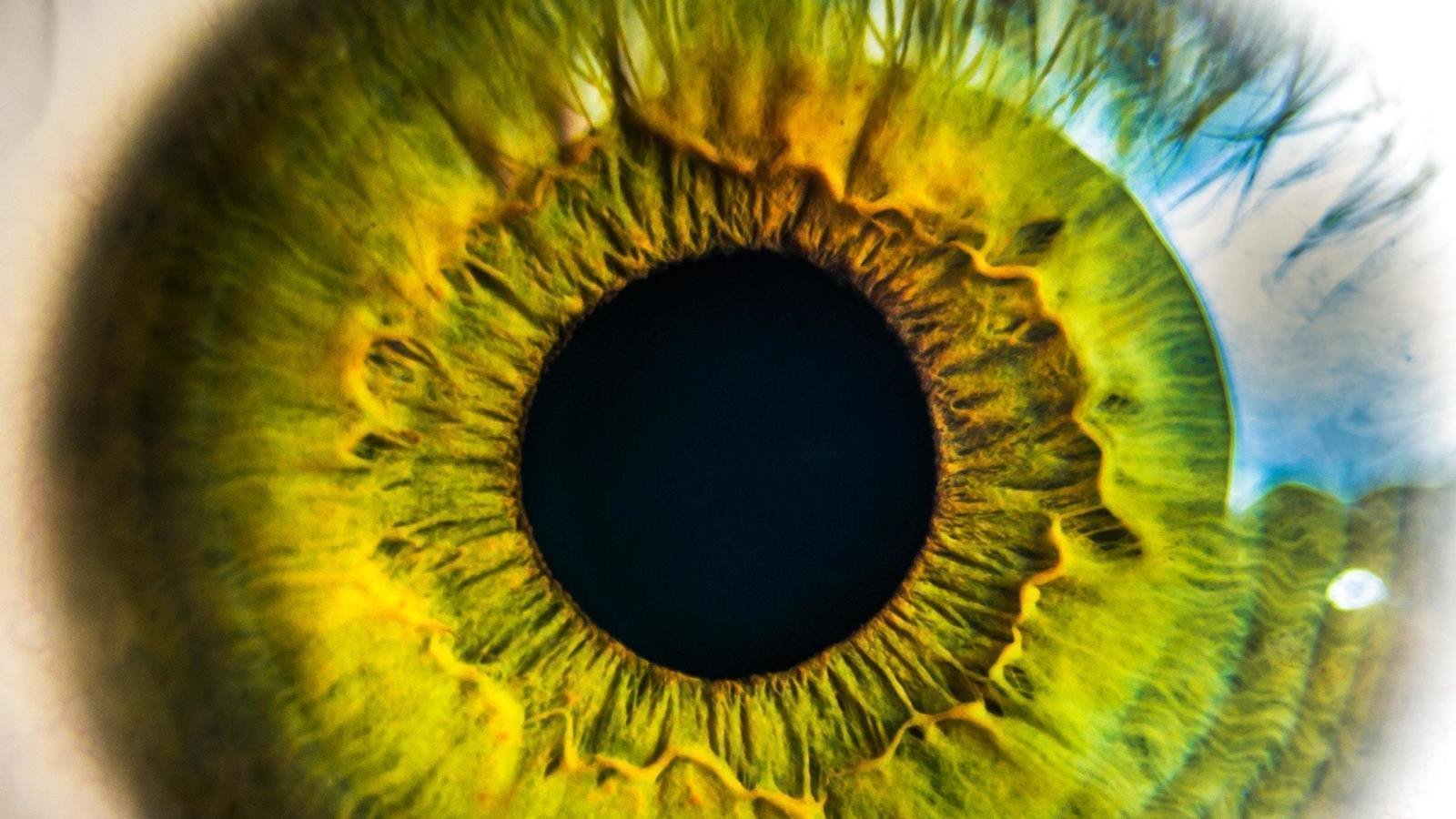Topic · Optometry · Change.org