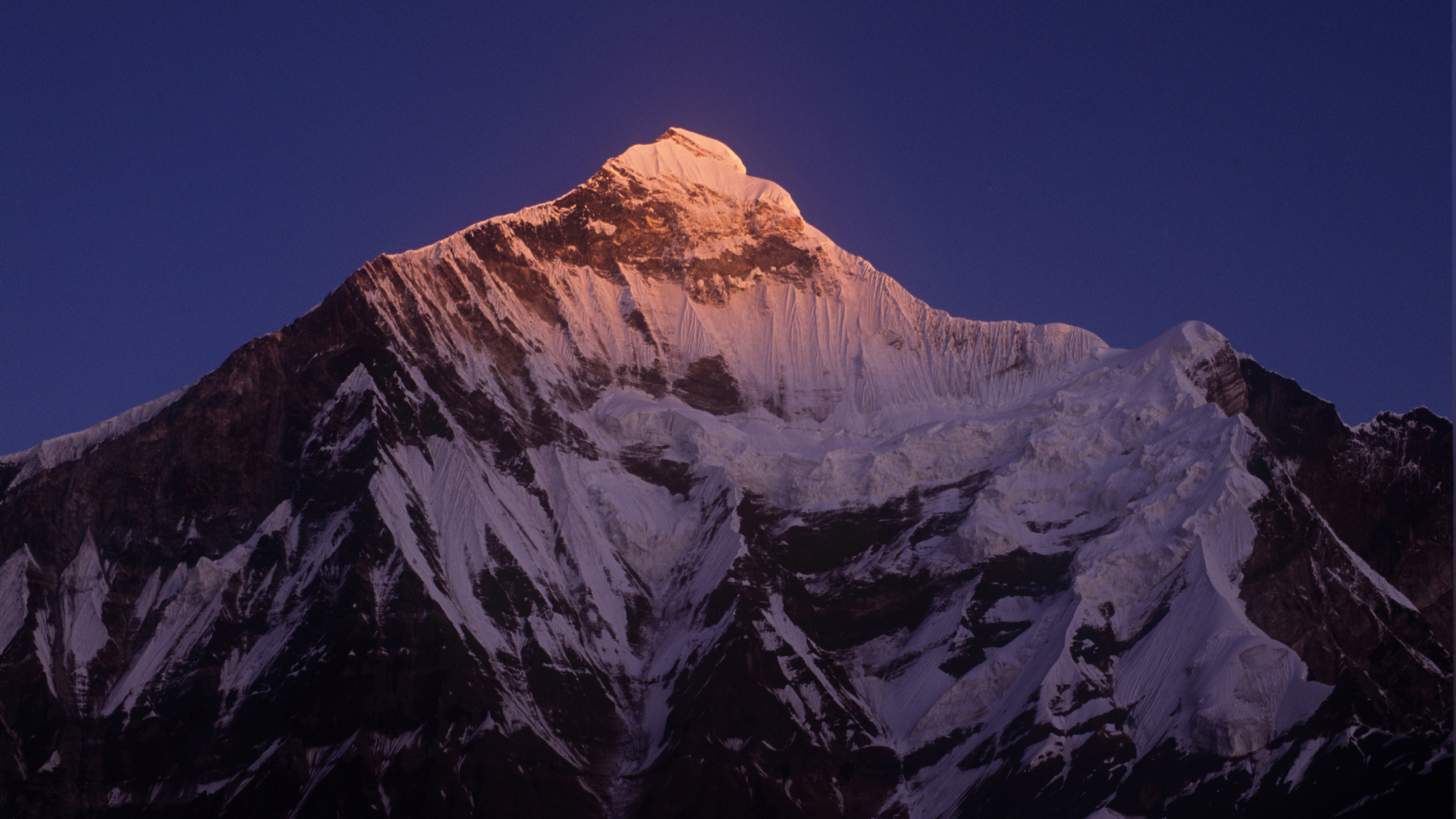 Bodies of 7 Missing Climbers, Including 2 Americans, Found in Indian Himalayas