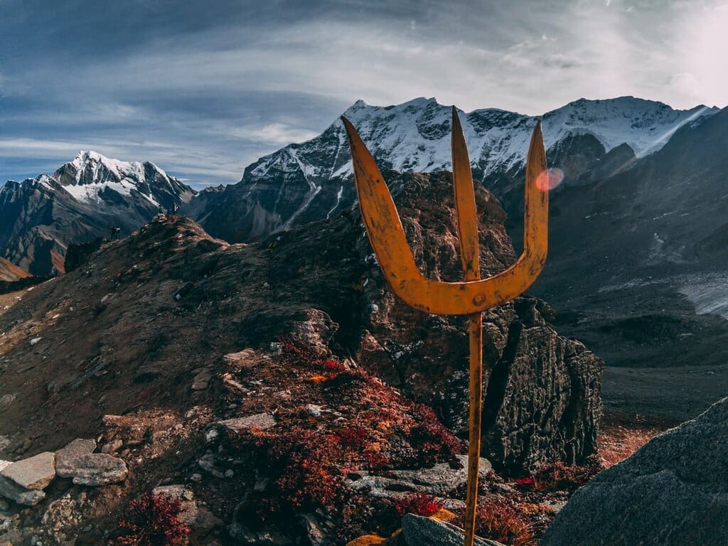 Nanda Devi National Park Animals