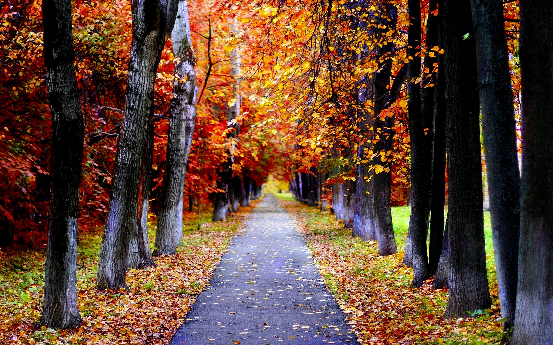 Autumn Lanes Wallpapers - Wallpaper Cave