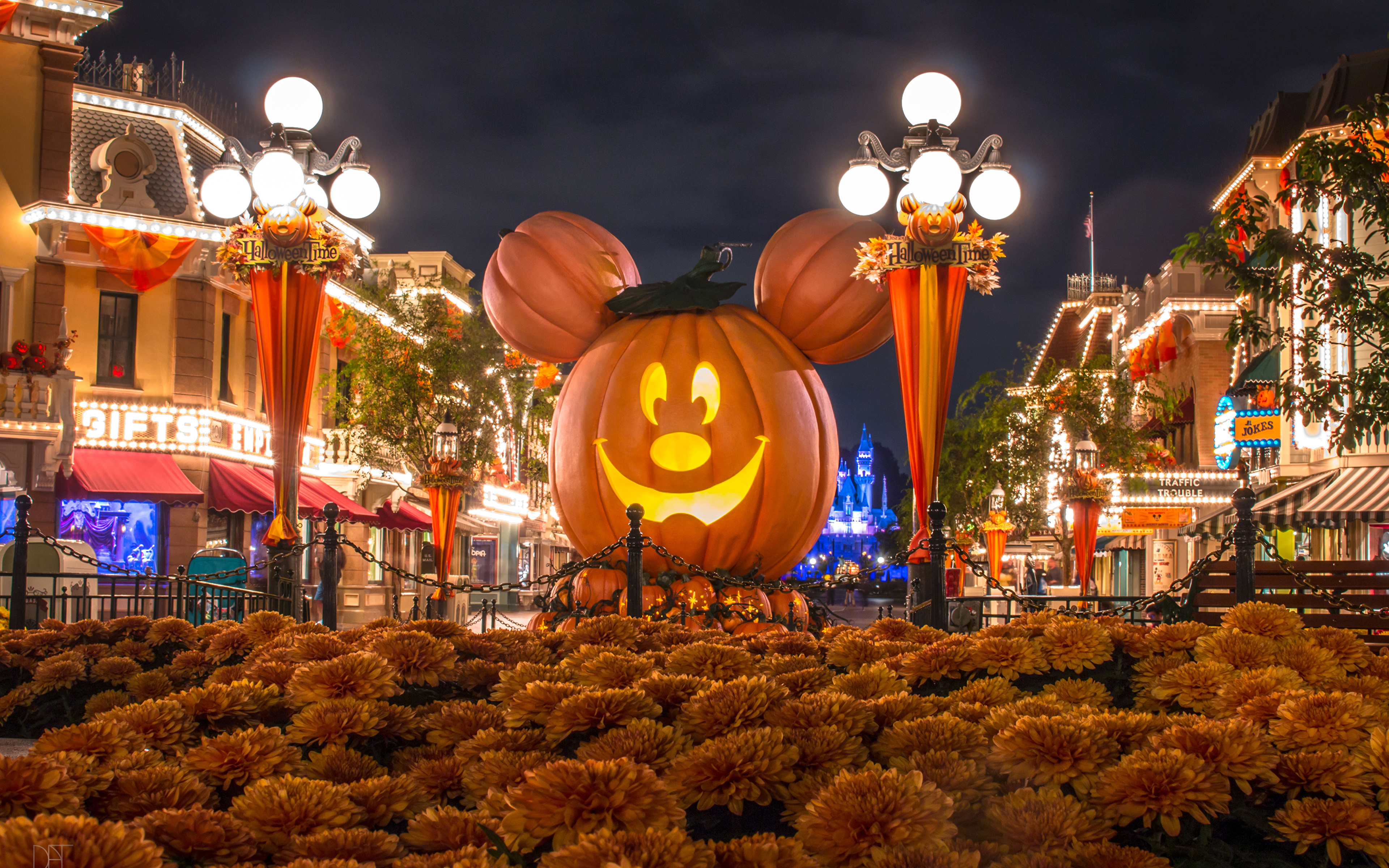 Picture Anaheim California Disneyland USA Pumpkin 3840x2400