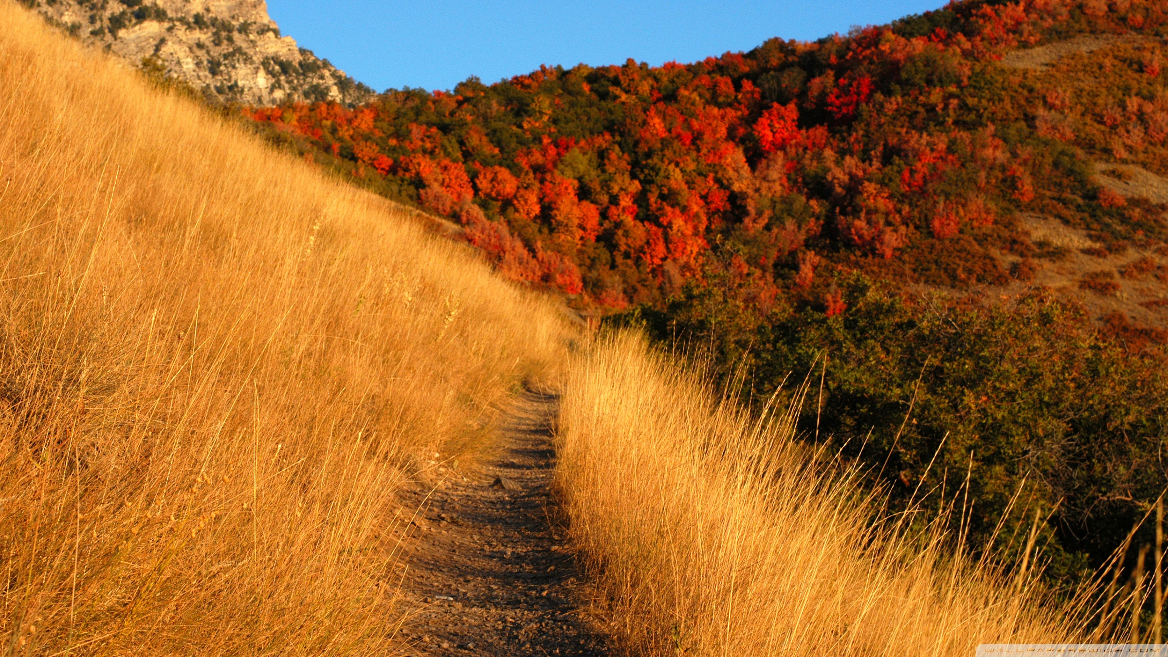 Mountain Trail Ultra HD Desktop Background Wallpaper for 4K UHD TV, Tablet