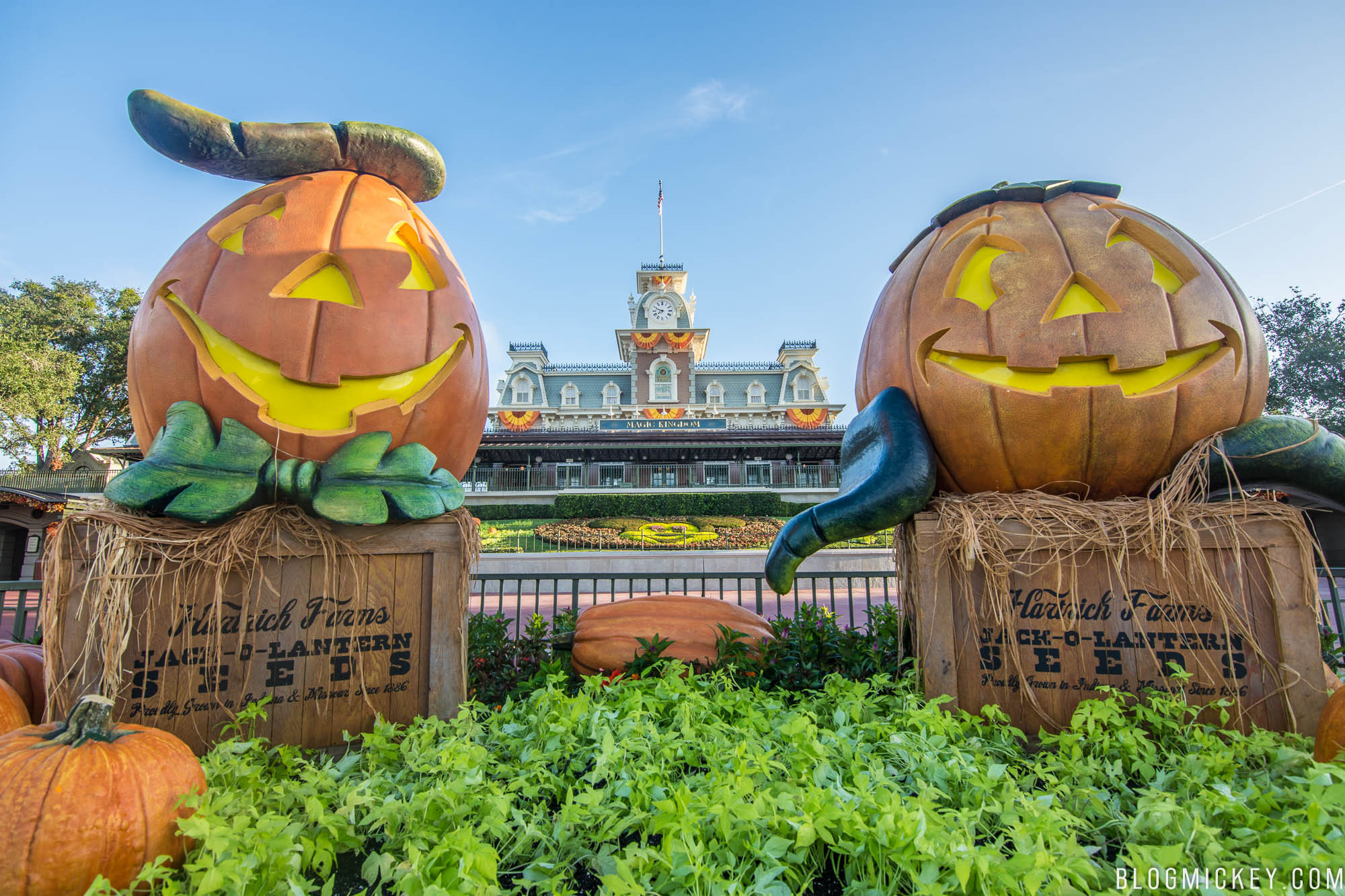 PHOTOS: Halloween Decorations Appear on Main Street USA