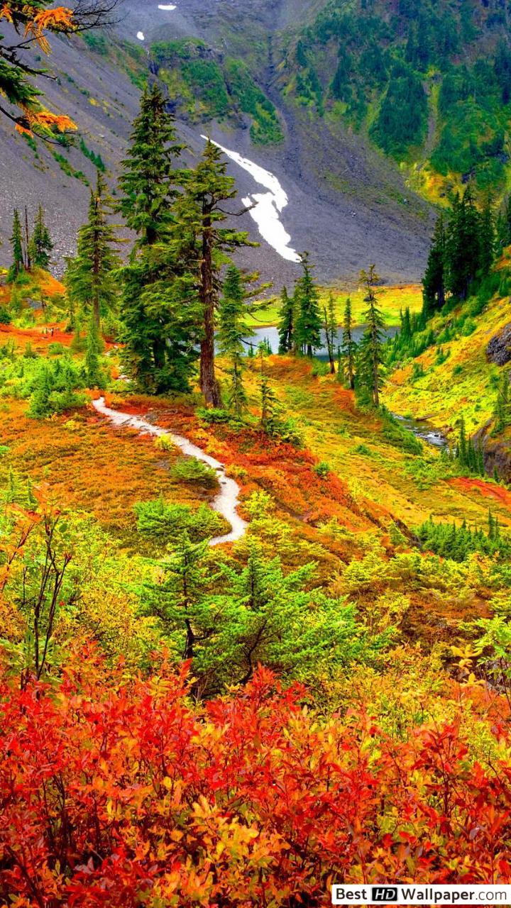 Trail in Autumn Mountain Forest HD wallpaper download