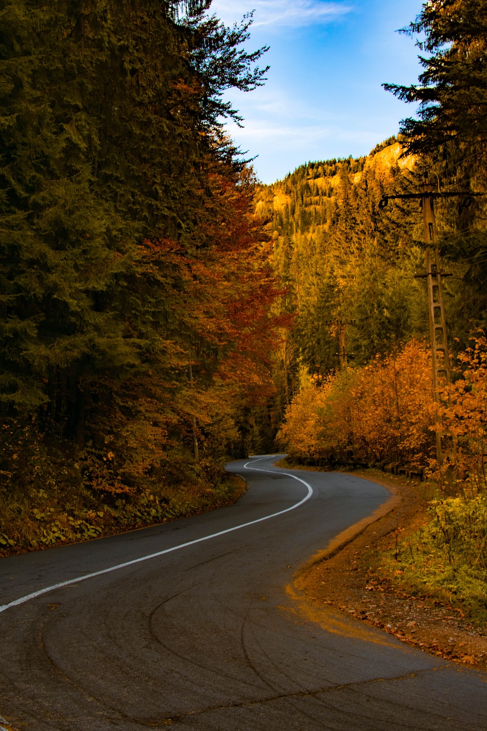 Autumn Road Picture. Download Free Image