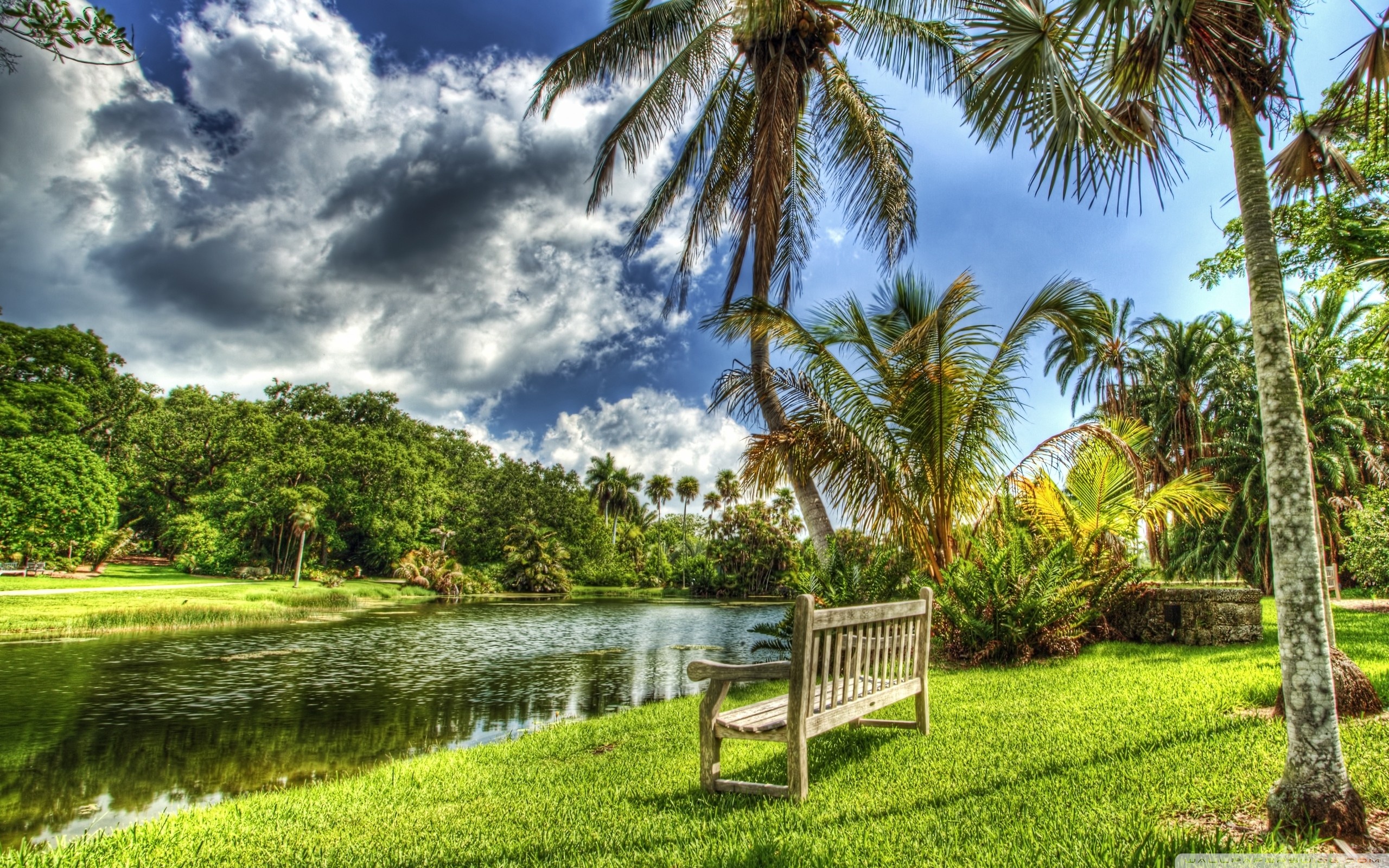 Bench On The River Bank Ultra HD Desktop Background Wallpaper for 4K UHD TV, Tablet