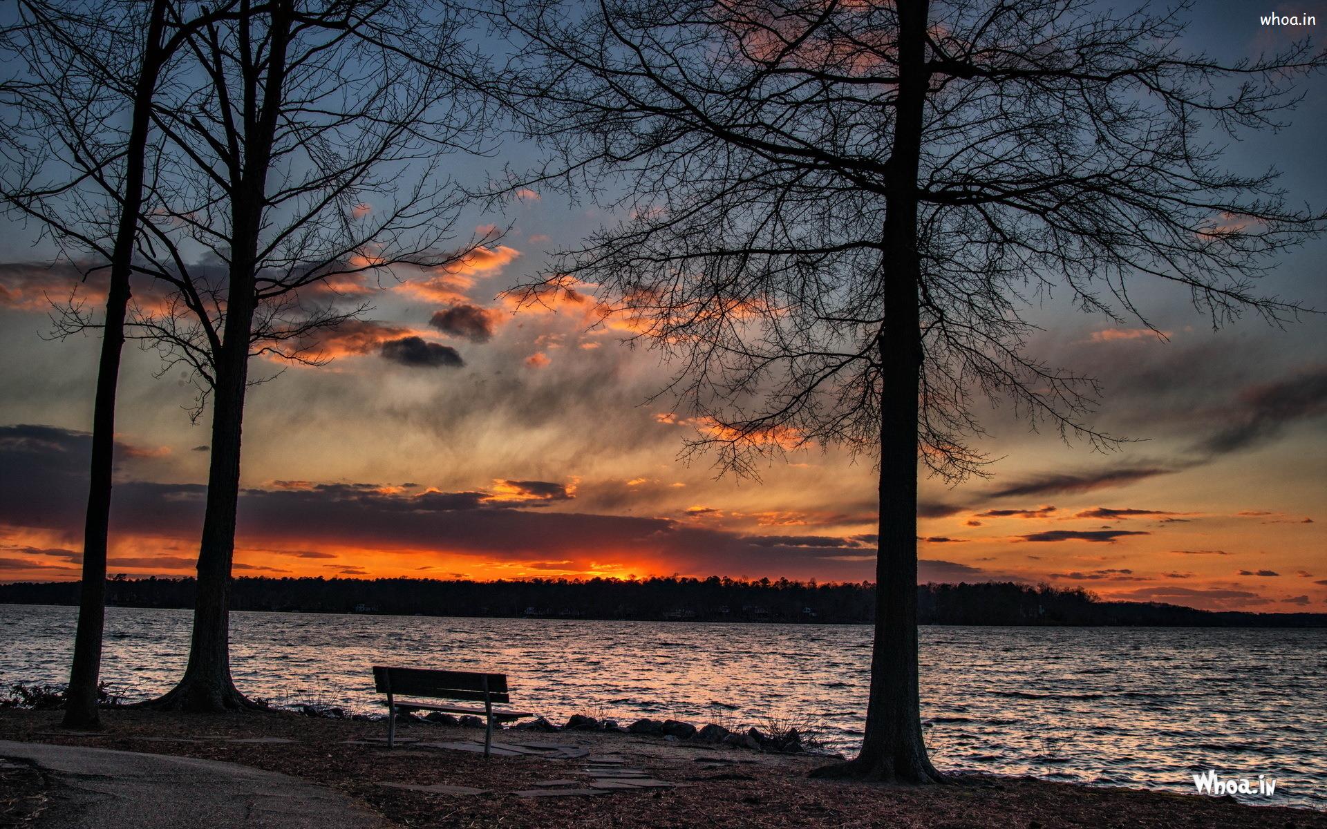 Evening River Bank Natural HD Wallpaper