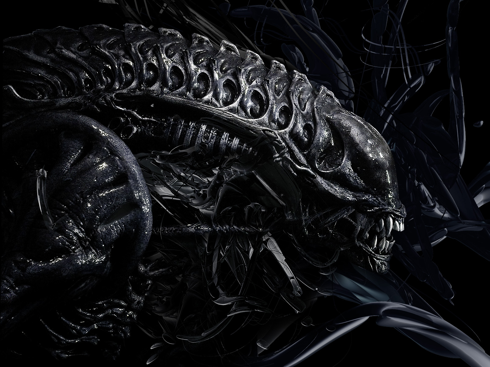 Free download Alien Predator 3D Photography HD Wallpaper Stylish HD Wallpaper [1600x1200] for your Desktop, Mobile & Tablet. Explore 3D Alien Wallpaper. UFO Wallpaper Download, Alien Wallpaper