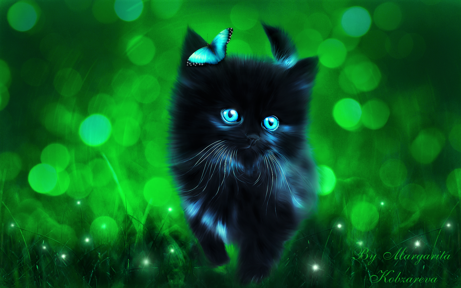 Kitten and Butterfly HD Wallpaper