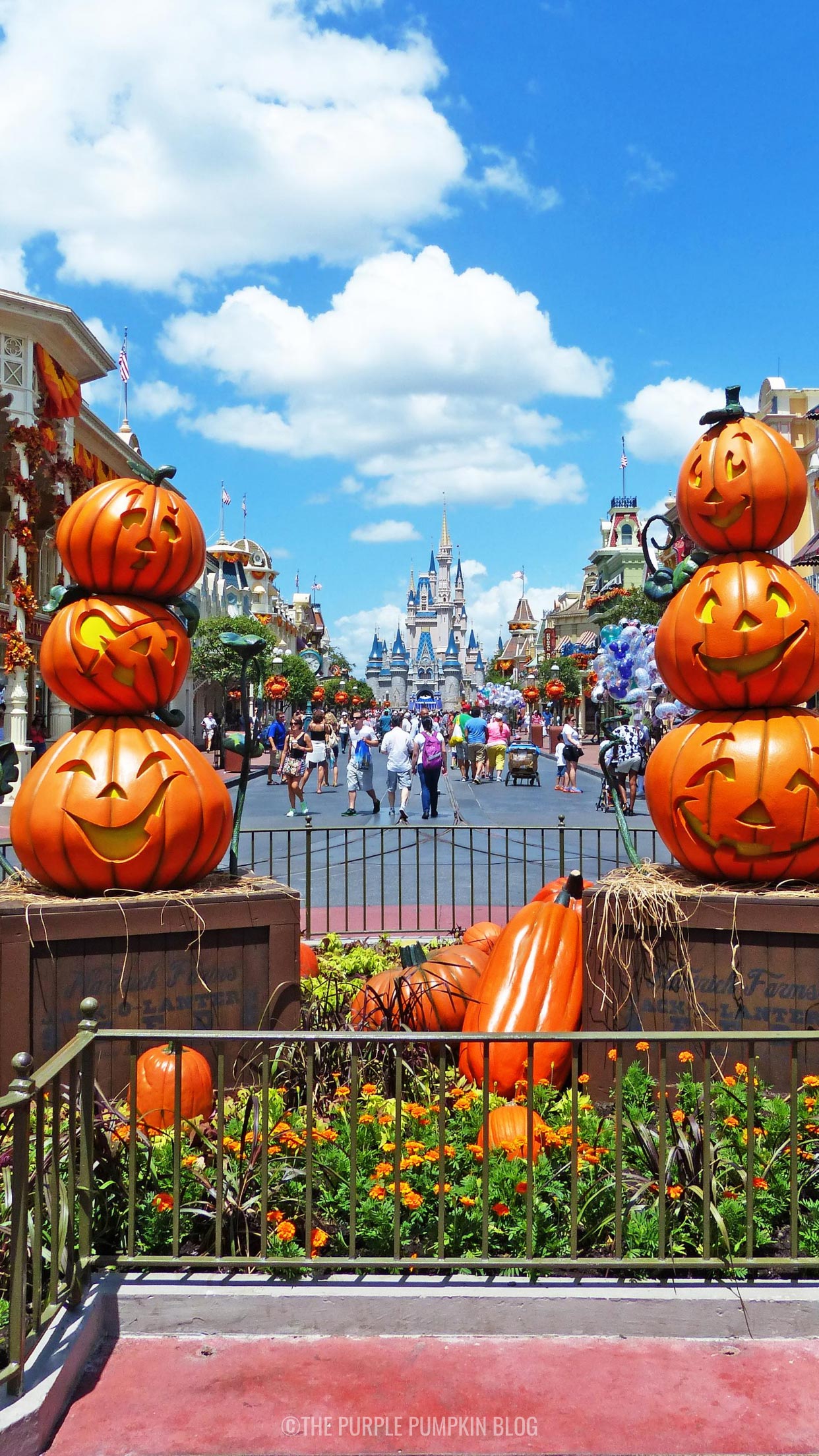 Disney Fall iPhone Wallpaper to Download for Free!