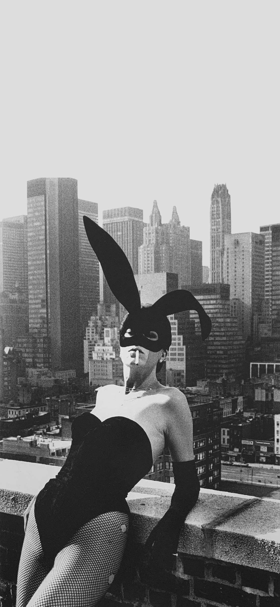 mobile phone wallpaper and lock screen wallpaper!