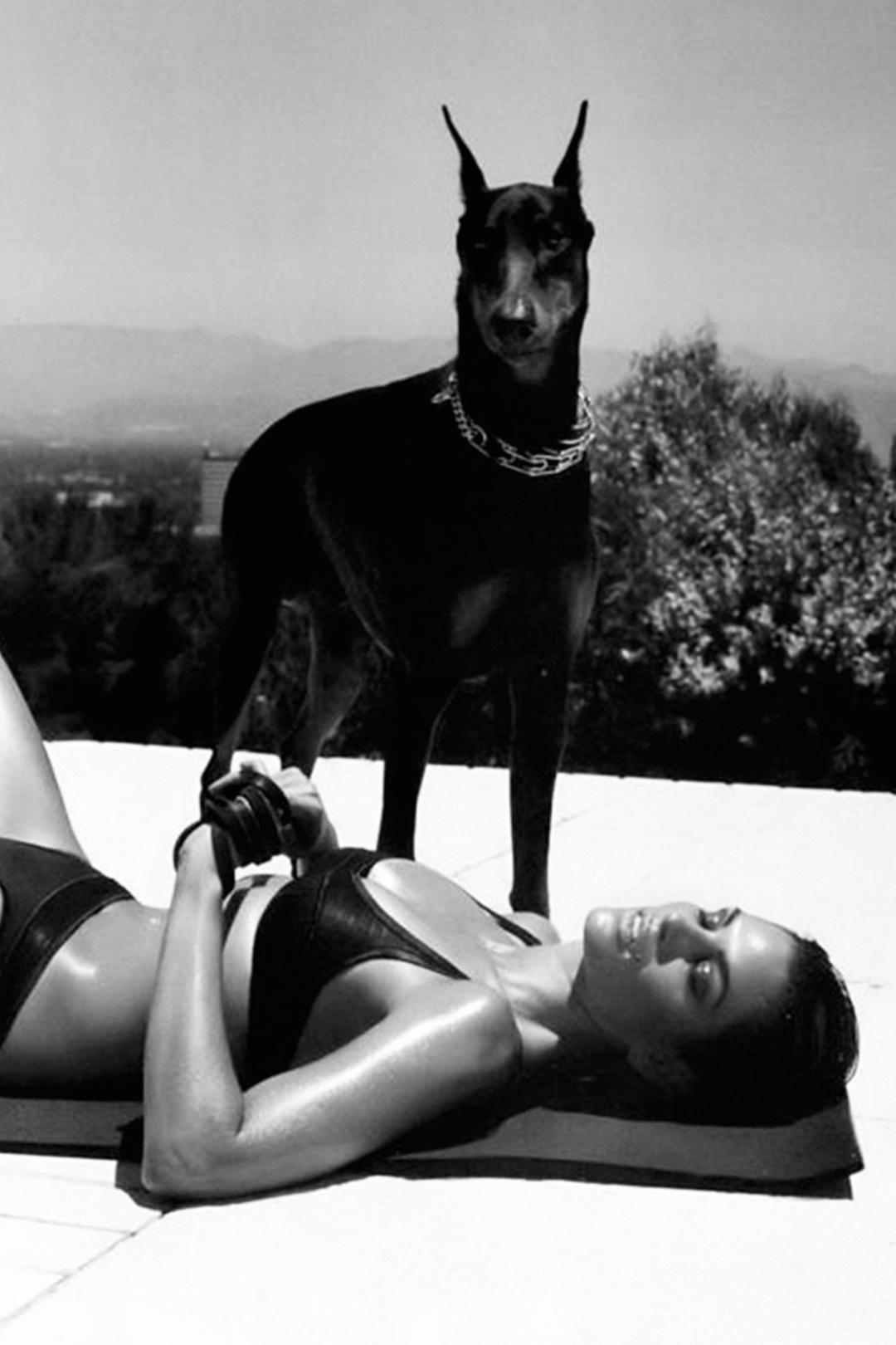 Top Fashion Photographers of All Times Helmut Newton REVOLUTION mood. Vintage Shop. Fashion photography, Helmut newton, Doberman