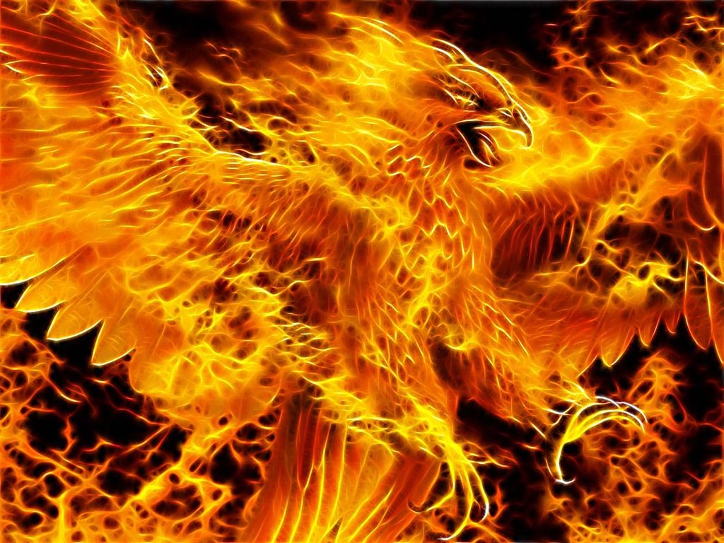 Fire Phoenix Wallpaper Free Fire Phoenix Background