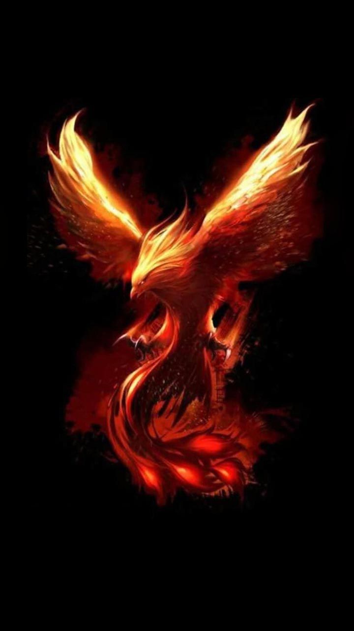 Fire Wallpaper Phoenix HD Wallpaper
