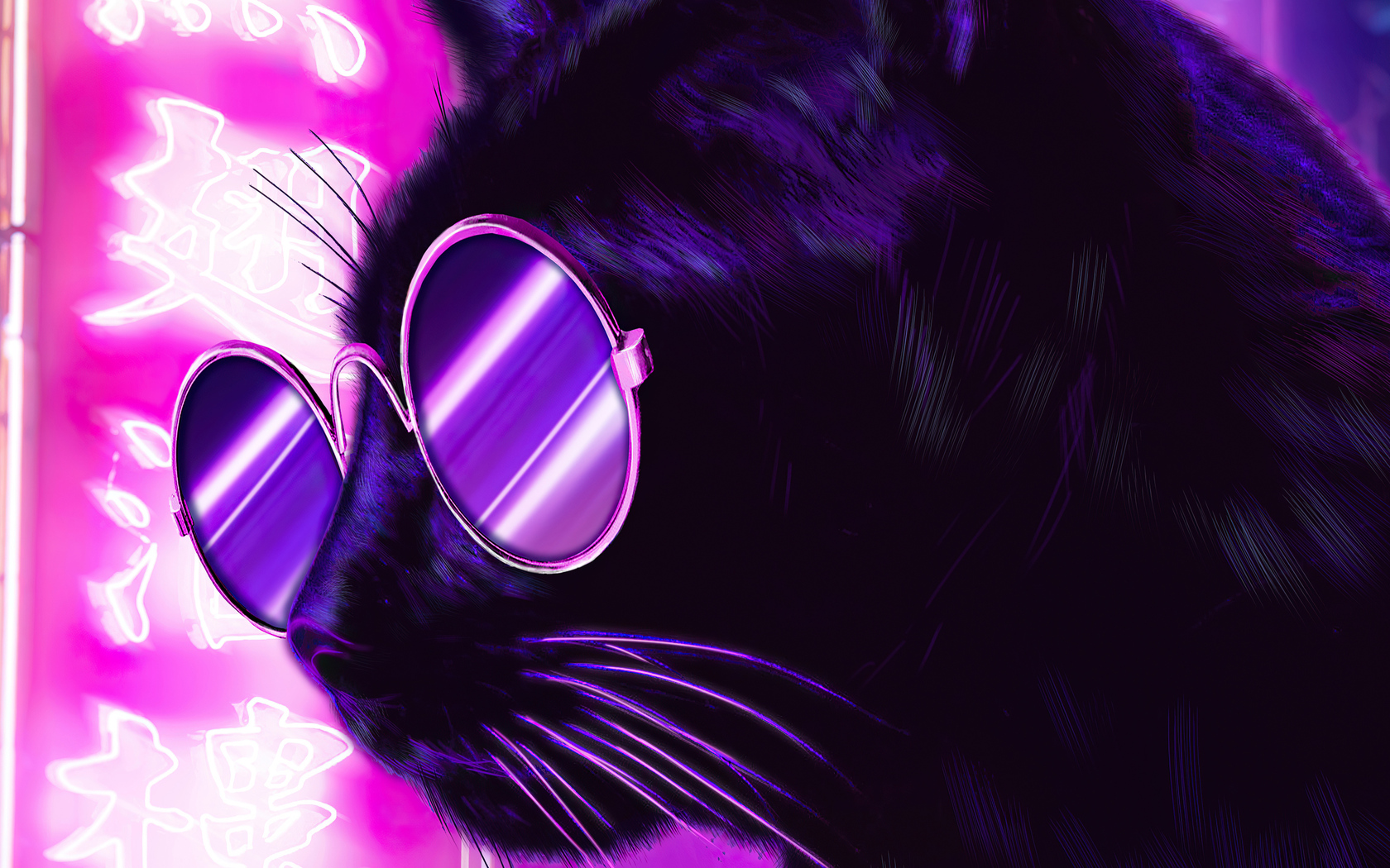 Cat Glasses Neon Purple Nights 4k 1680x1050 Resolution HD 4k Wallpaper, Image, Background, Photo and Picture