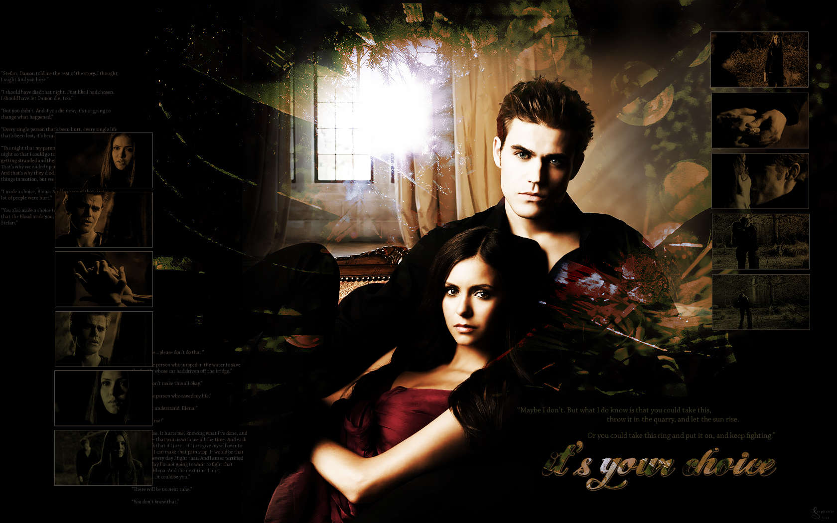 Vampire Diaries Wallpaper: Damon or Stefan?