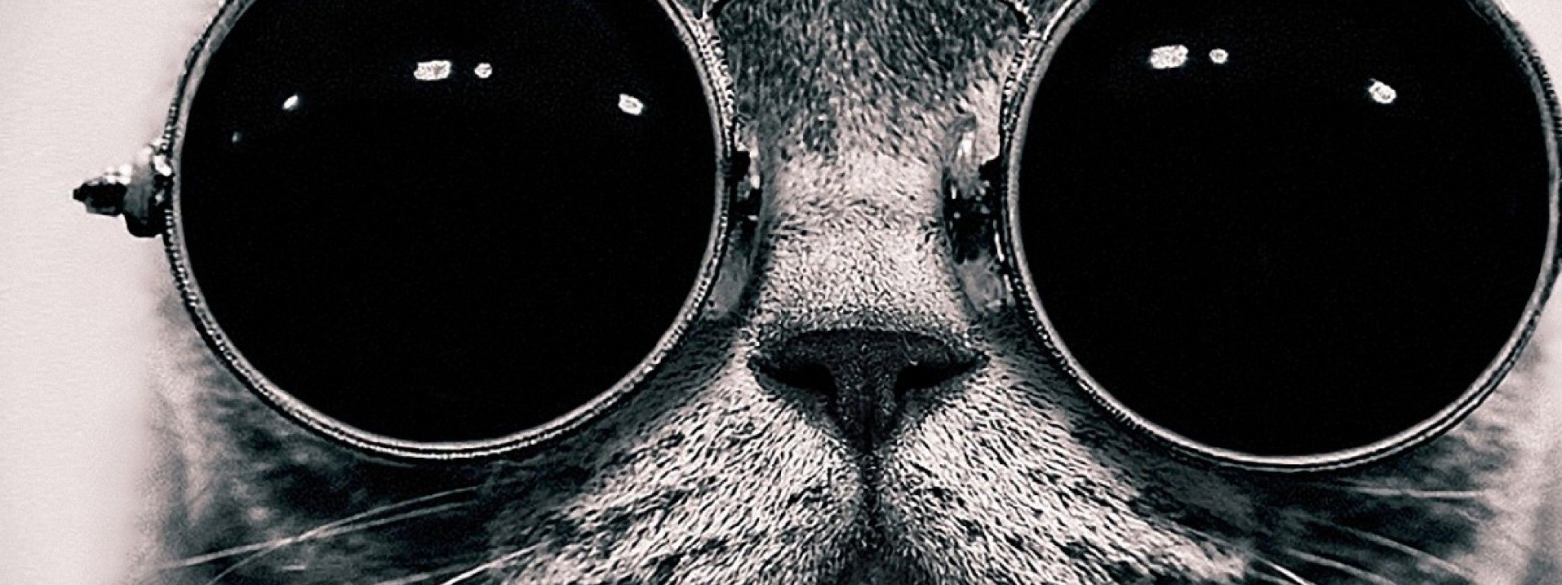 Black Cat Galaxy Wallpaper