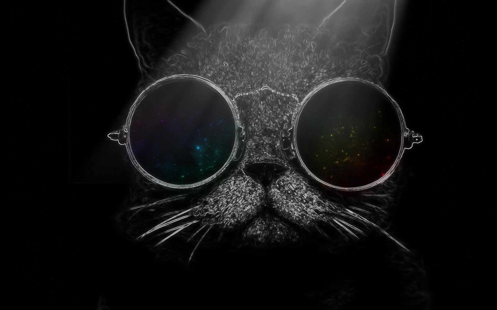 black, cat, sunglasses, glasses, photography, nose, eye, darkness, computer wallpaper, black and white, monochrome photography, vision care, organ, close up, macro photography, eyewear. Mocah HD Wallpaper