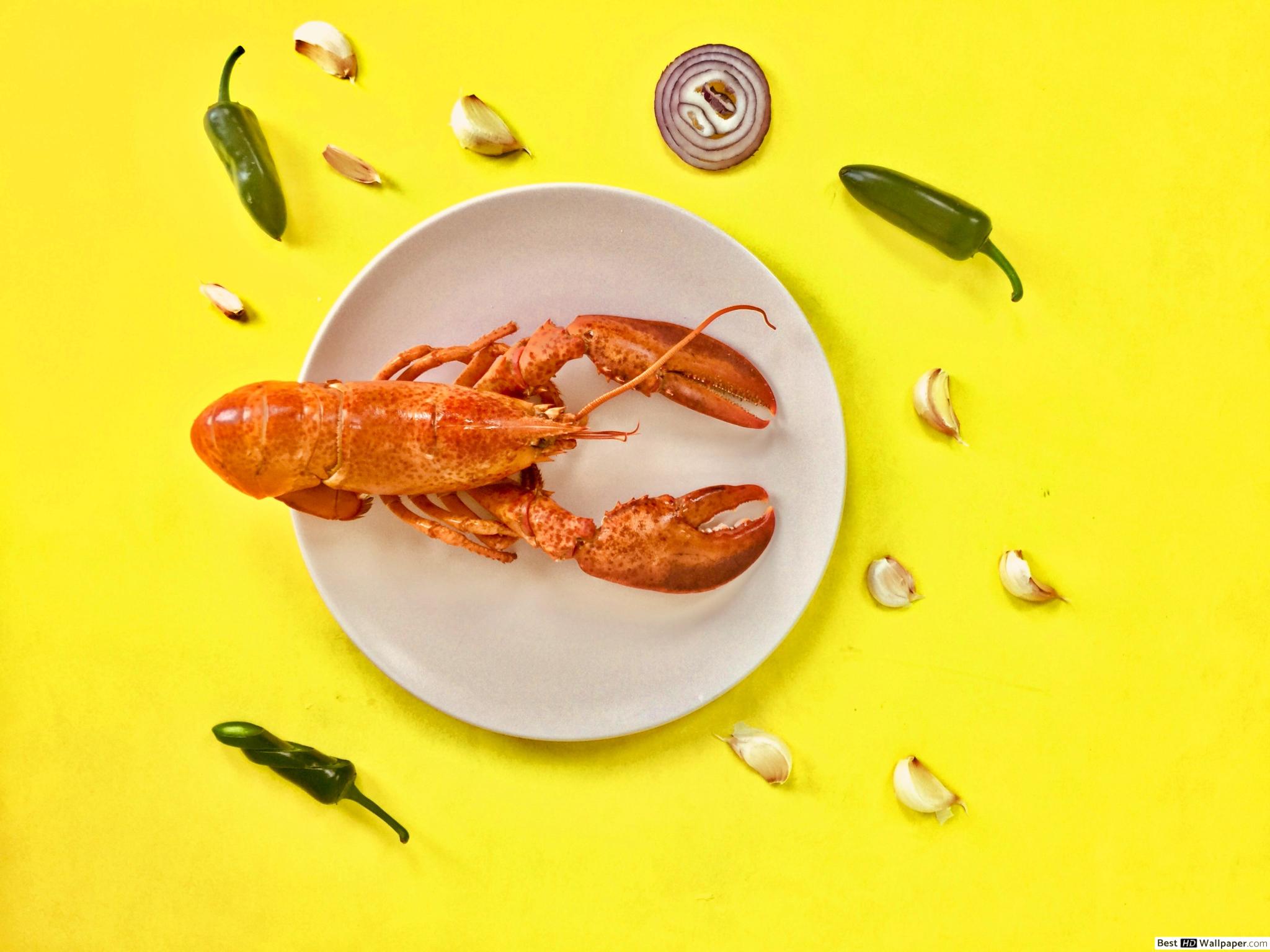 Lobster in plate surrounded with spices in a yellow background HD wallpaper download