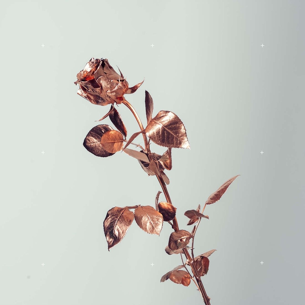 Rose Gold Aesthetic Wallpaper