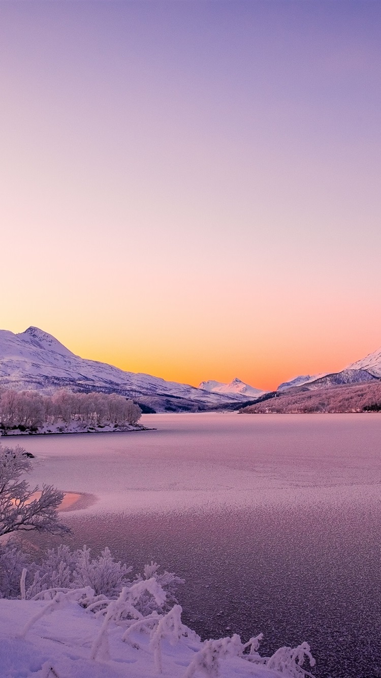 Norway, Scandinavian Mountains, Lake, Winter, Thick Snow, Trees 750x1334 IPhone 8 7 6 6S Wallpaper, Background, Picture, Image