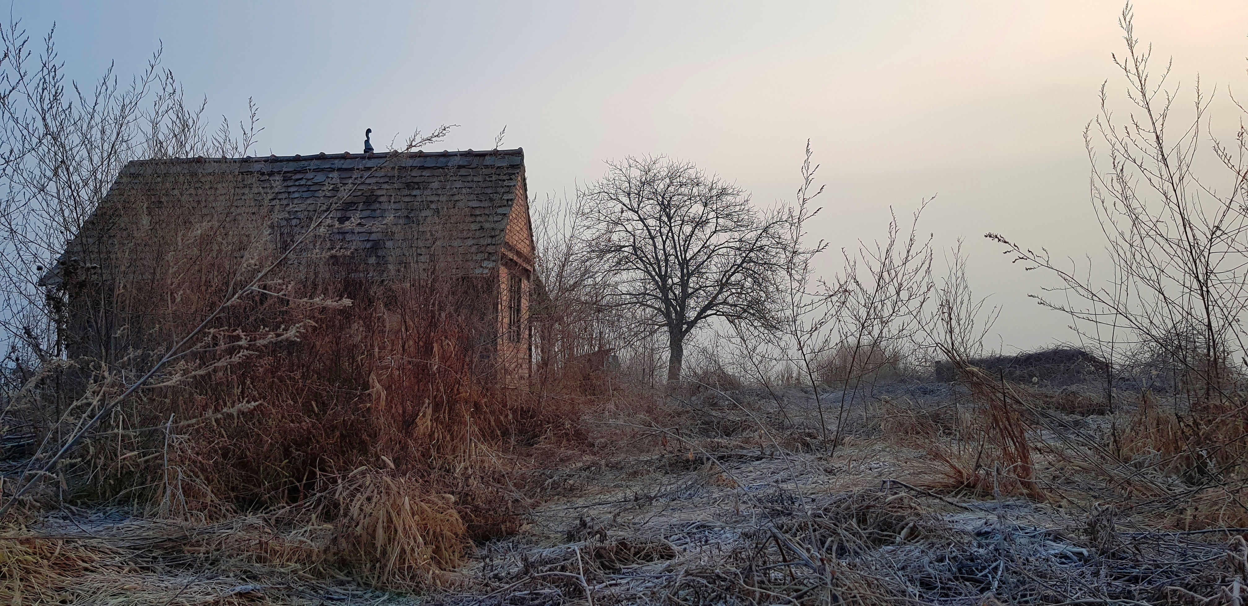 Free of 4k wallpaper, cold, computer wallpaper