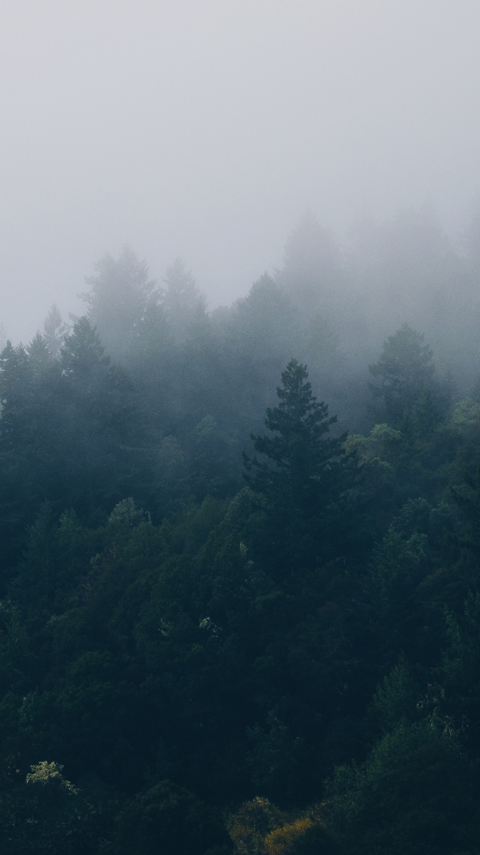 Scandinavia Wallpaper