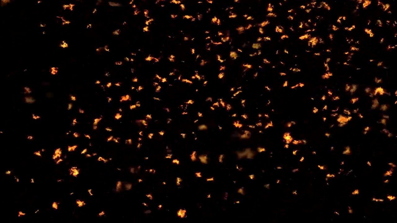 Fire Particles Fire Background Animation Video Effect