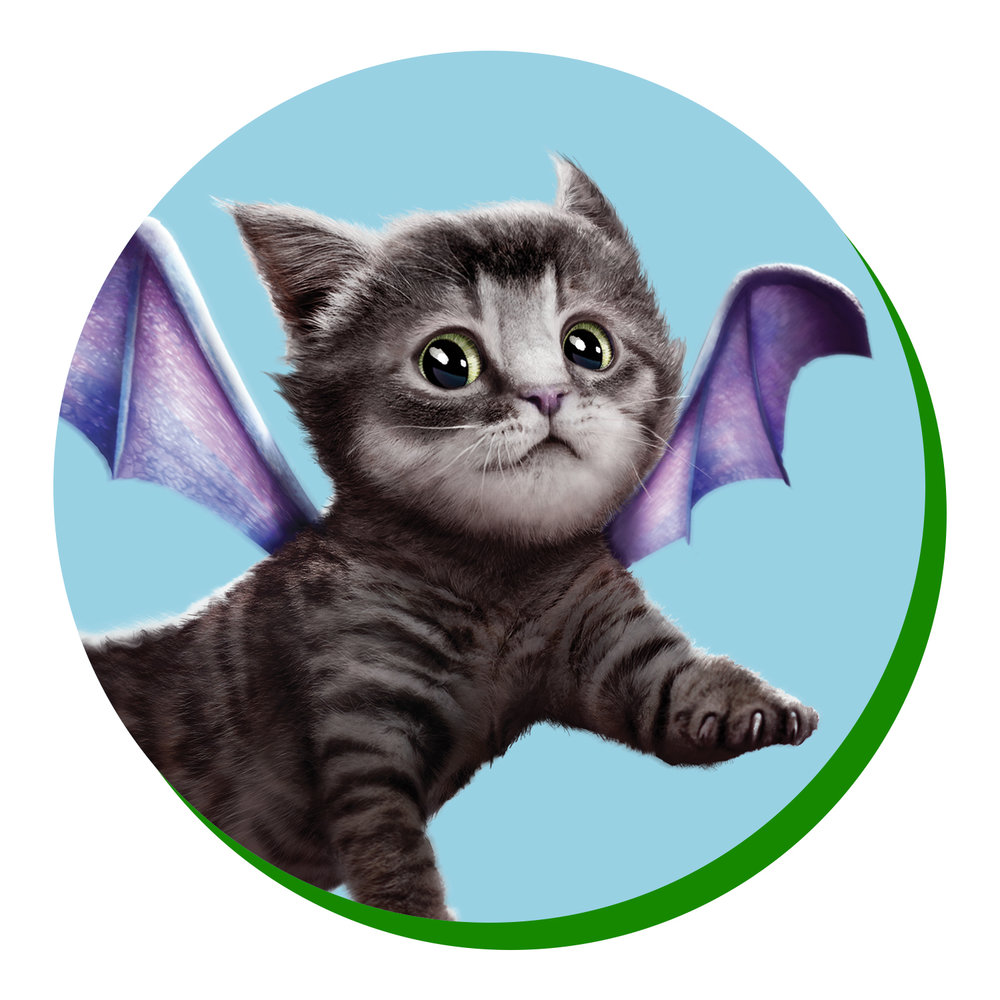 Nory Prepares for the Big Test