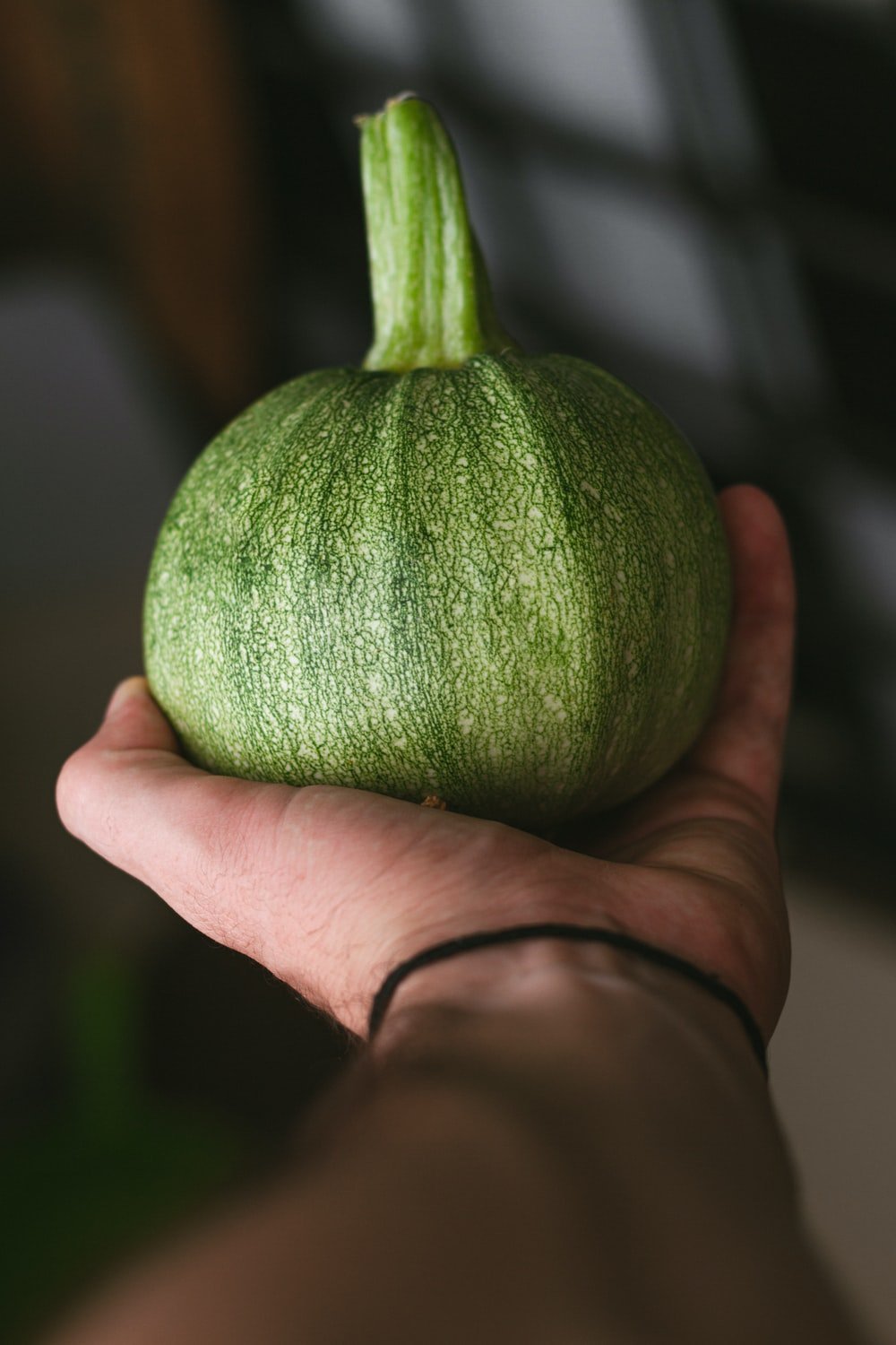 Summer Squash Picture. Download Free Image
