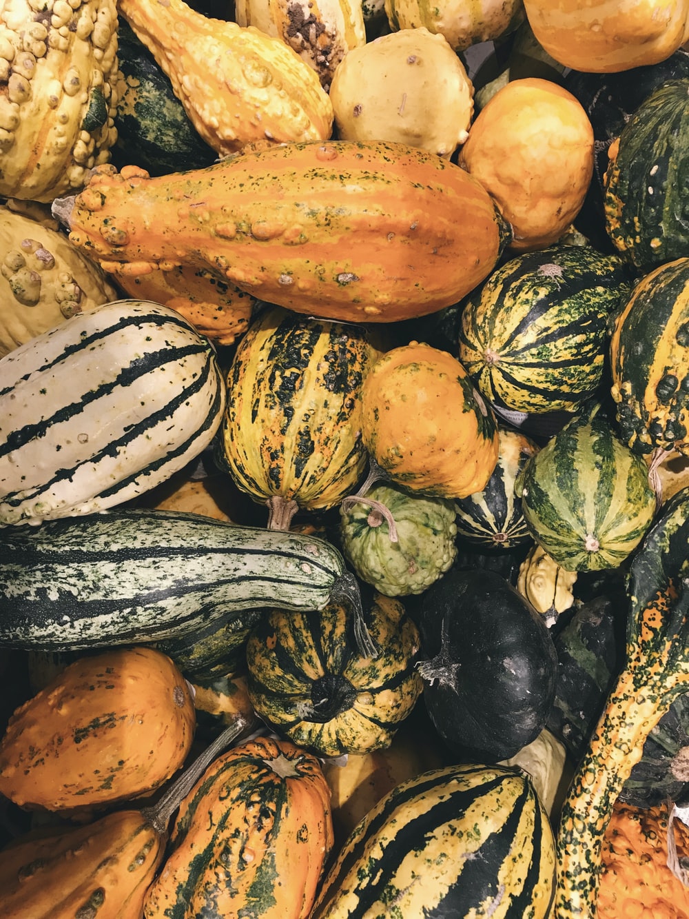 Squash Picture. Download Free Image