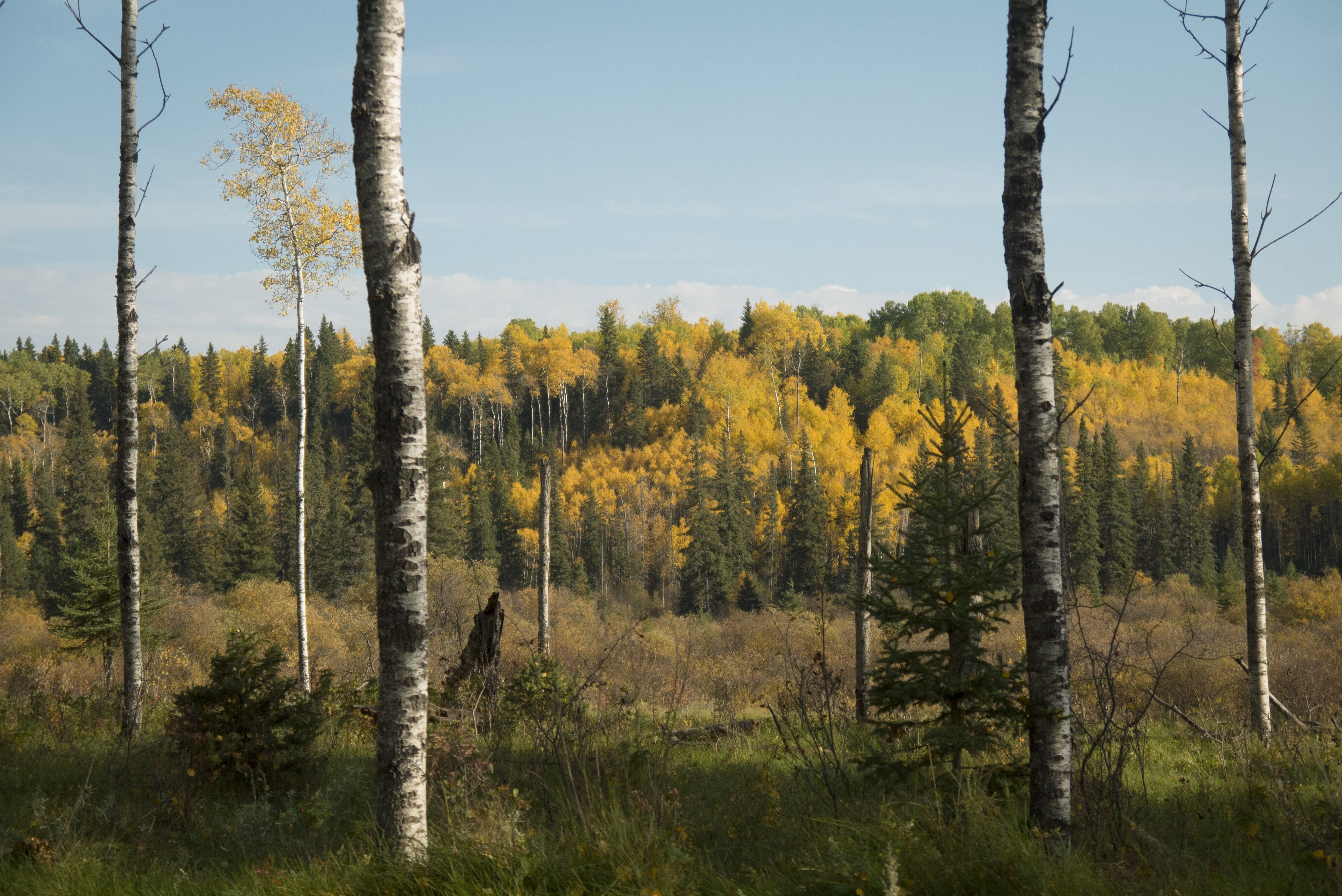 Saskatchewan 4K wallpaper for your desktop or mobile screen free and easy to download